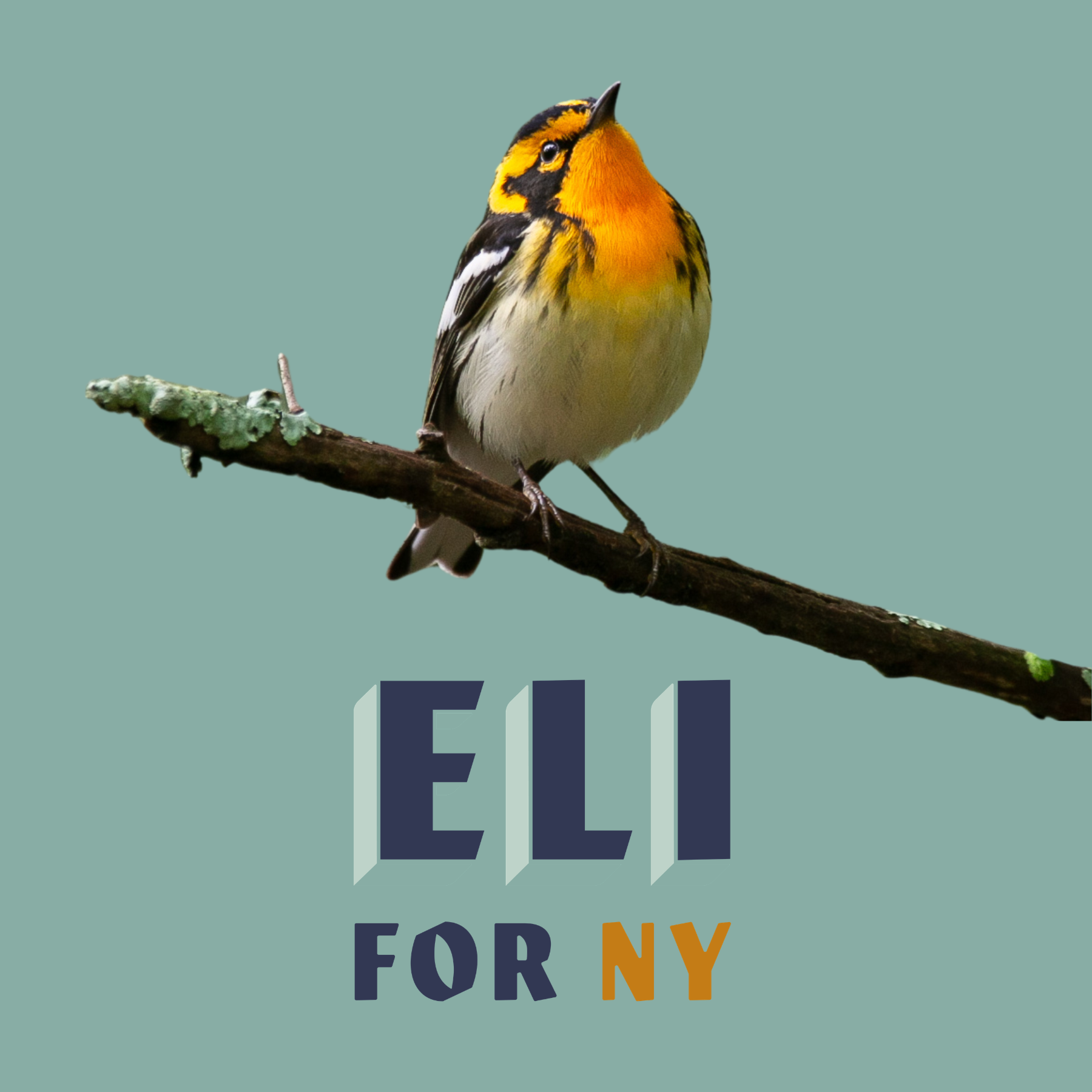 Birding with Eli