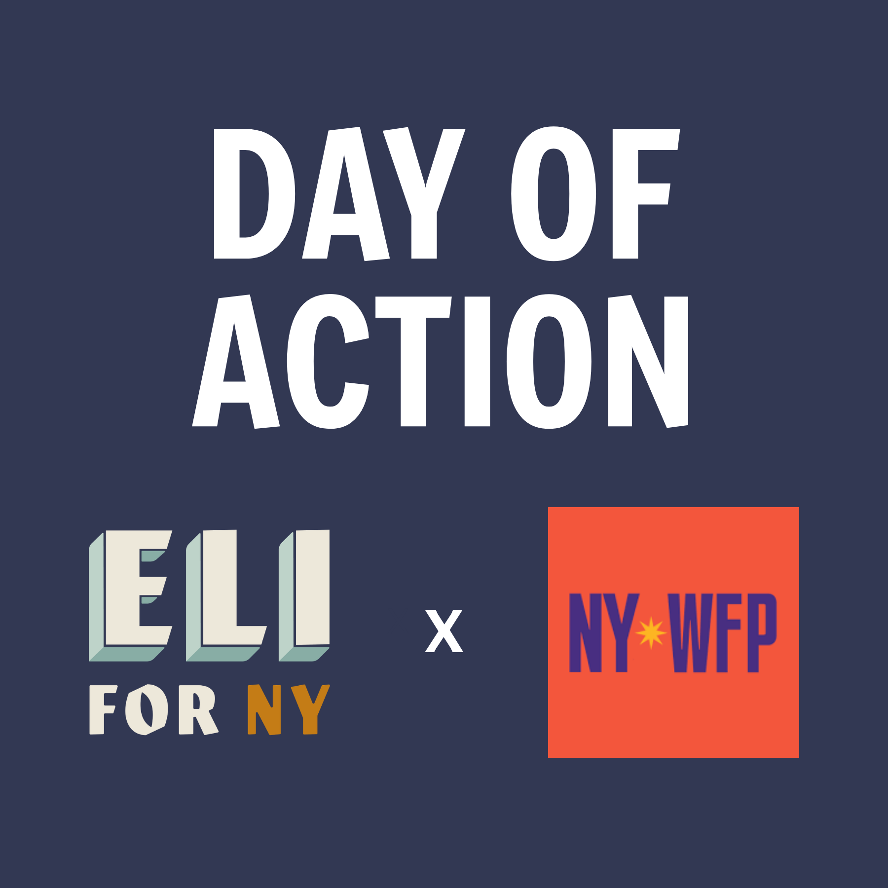 Eli4NY x Working Families Party Day of Action
