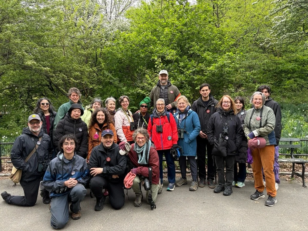 April 25 was National Go Birding Day, and we celebrated with an intrepid group of neighbors in Central Park 🐦

My father was an avid birder, and his ability to identify a bird based on its song felt like a magic trick to me growing up. We&rsquo;re l