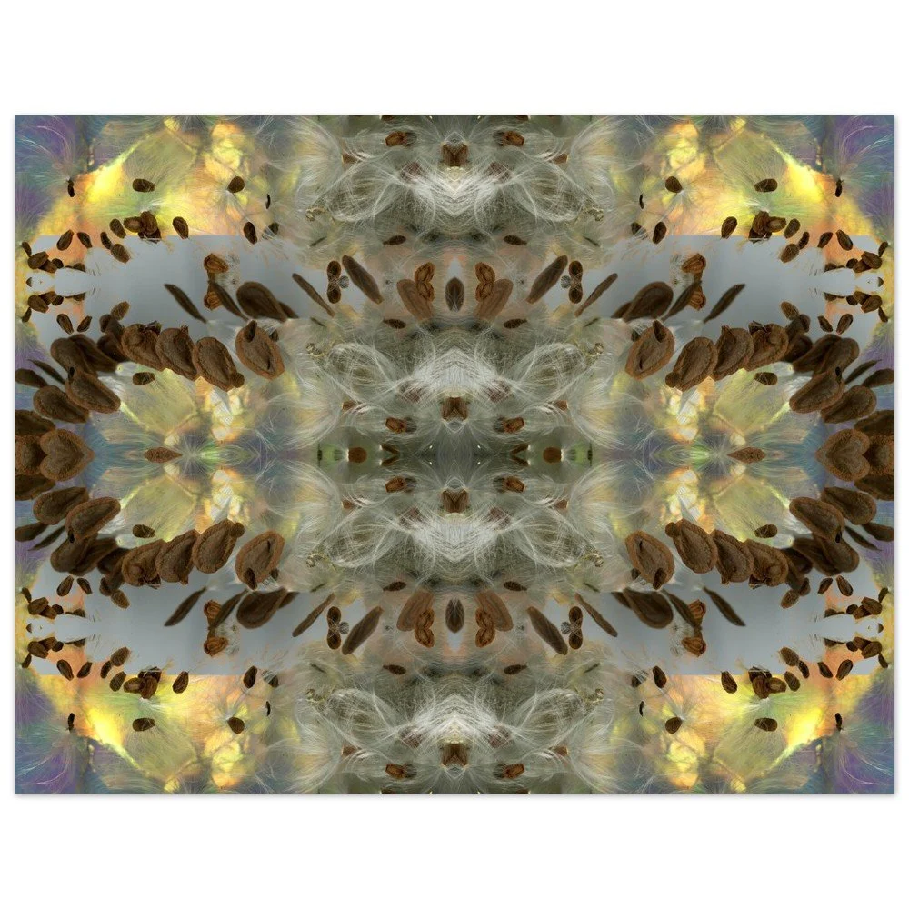 Starseeded Field 11x14