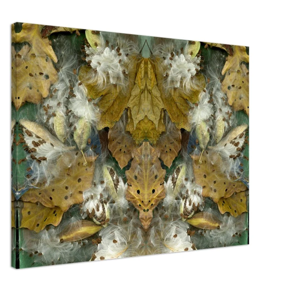 Milkweed Leaf Warrior - Canvas