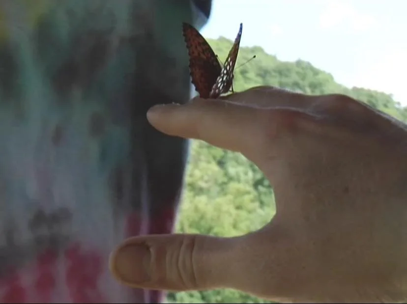 We Dyin 
physical to digital
Pixel Mold
Mold Your Own
Bloomera
Almost Forgot
Wrelize 
Frequenicities 
During We
We Butterfly
We Antenna
Wrelization 
flowersareforever 
Lamm track
Elias Lamm
Media Lamm