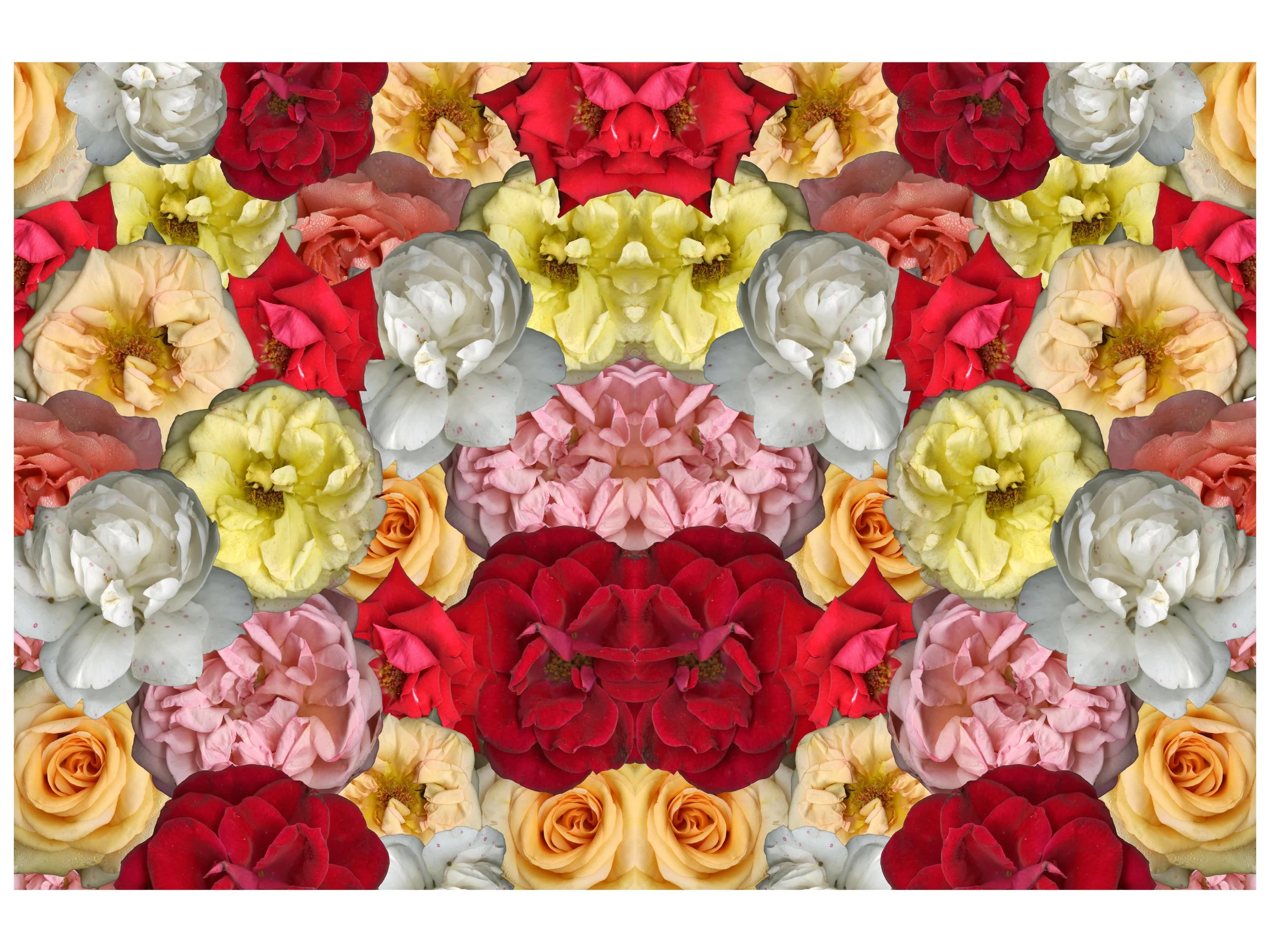 FloralBloomMix_3__mirrored_2_.jpg
