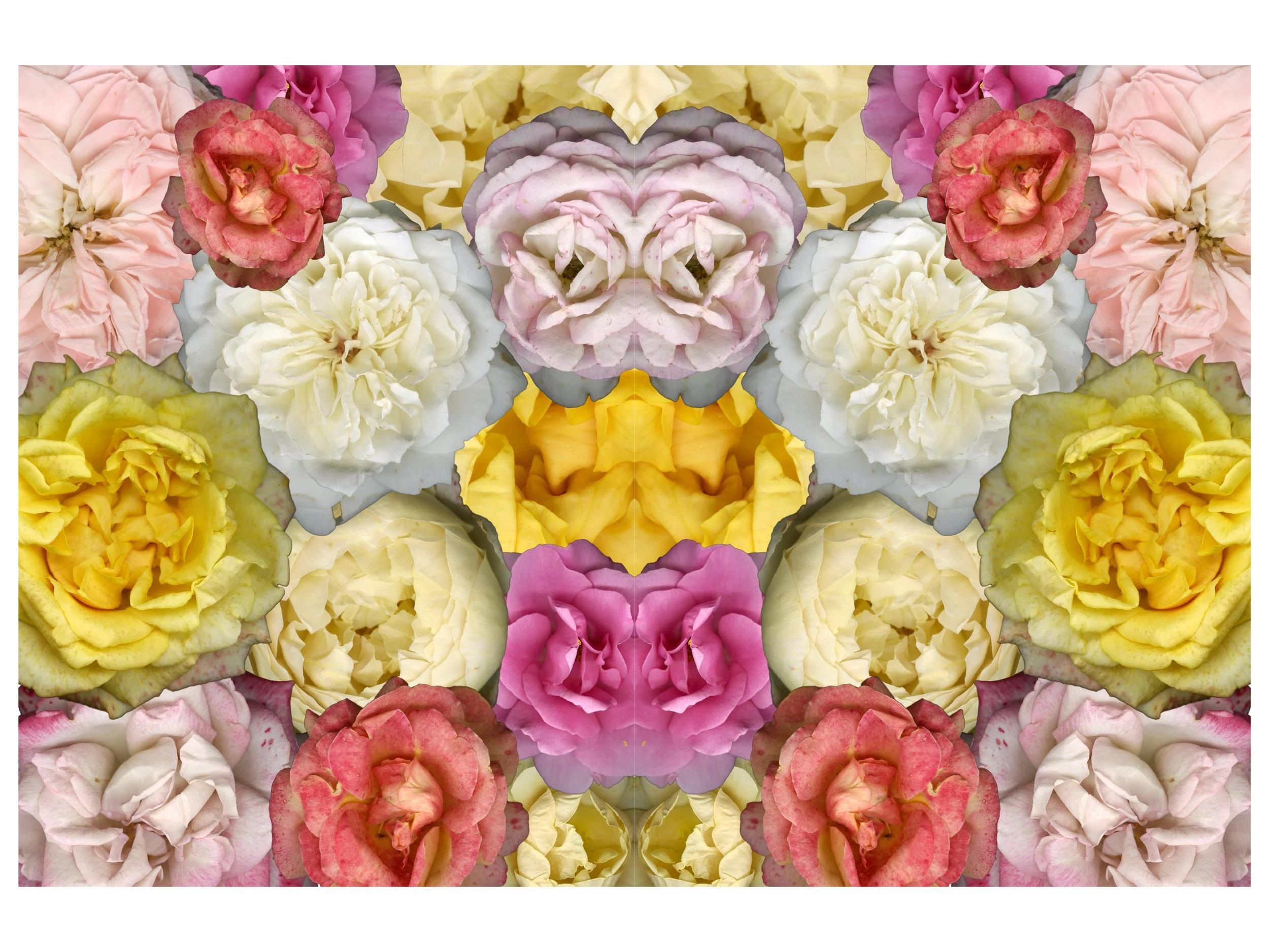 Bloomtah_Floral_Mix_Mirrored_.jpg