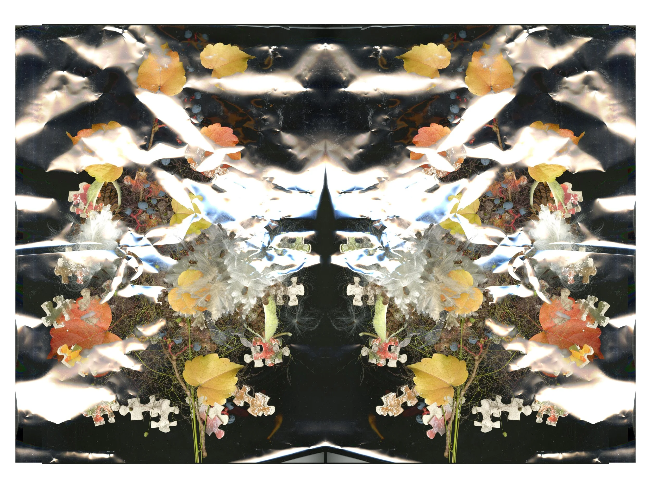 img20251217_21235948_Mirrorred_MixArrangeed_2_.jpg