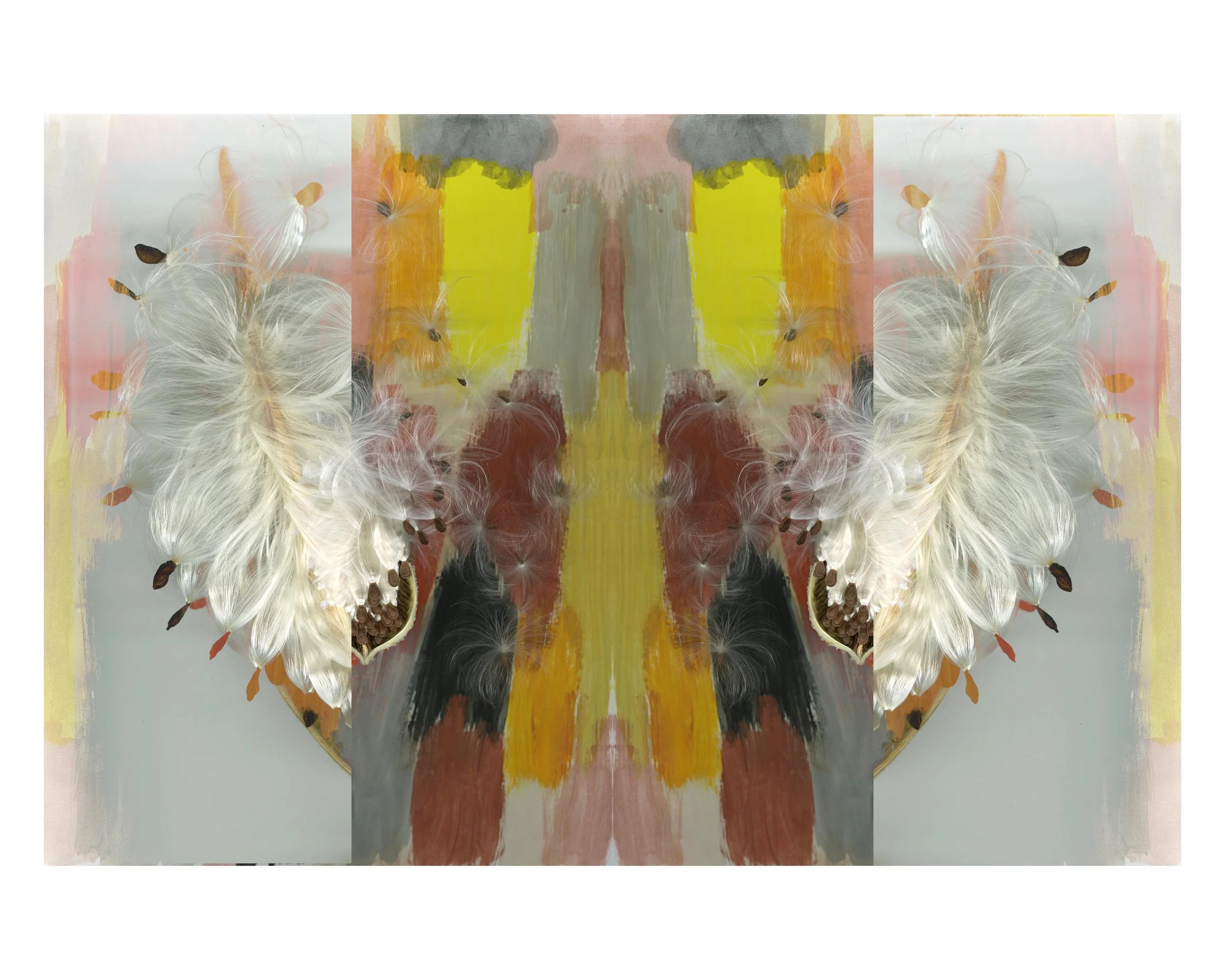 MilkWeed_Bless_1_862_Mirrored_Mixed_2_.jpg