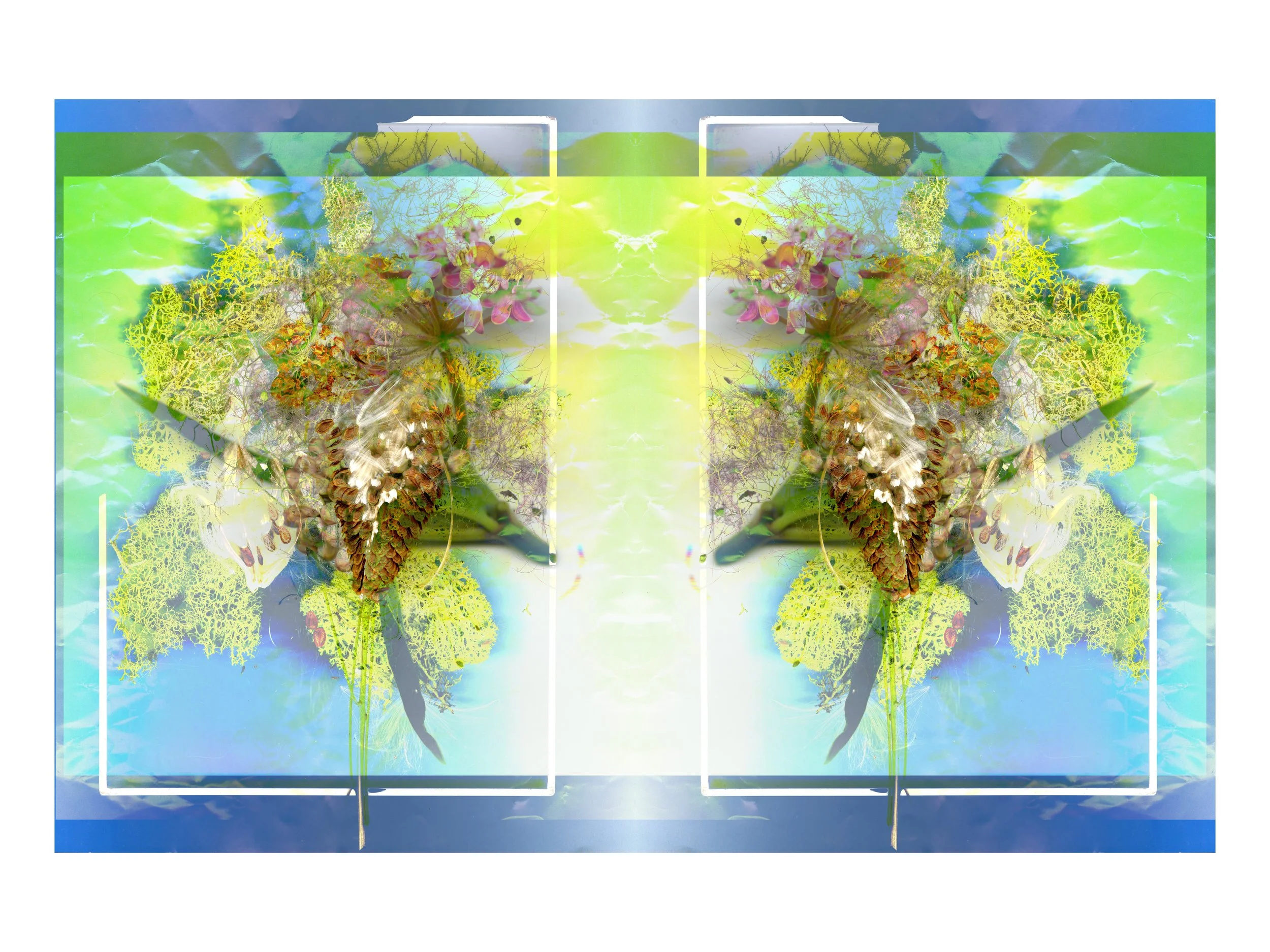 NicePrettyFlowerarrangeMilkweed_design_1_.jpg