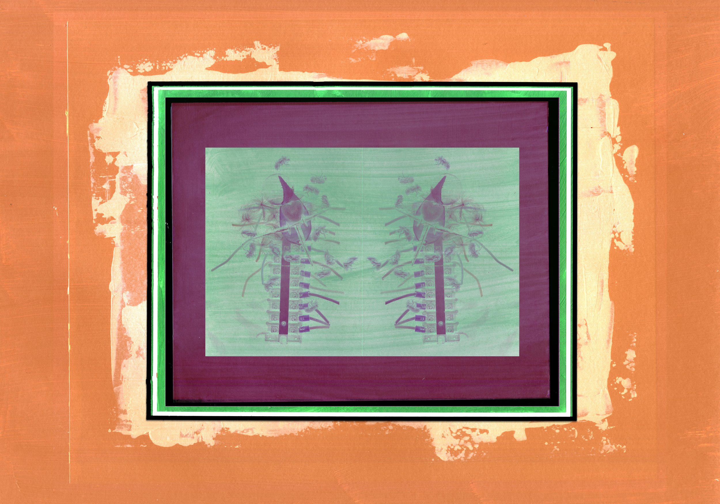 Xray_Electricaltechnicalcicada_1_.jpg