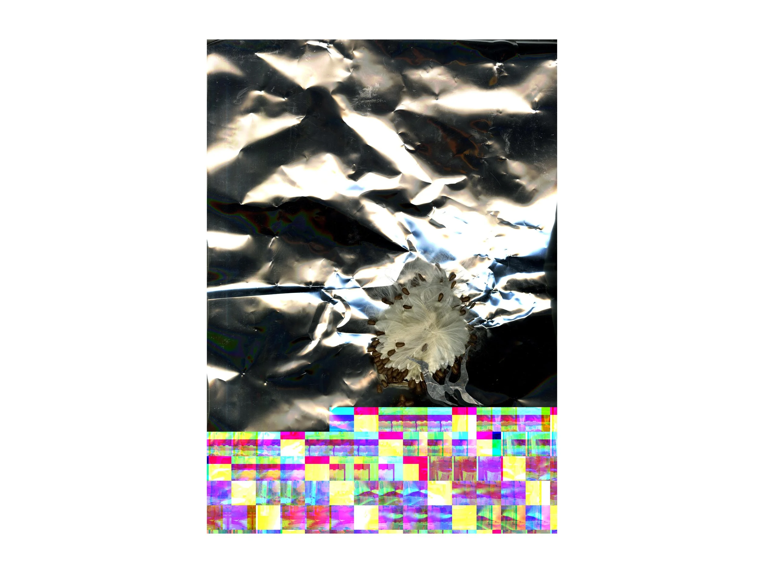 ParaciteGlitch_Bye_.jpg