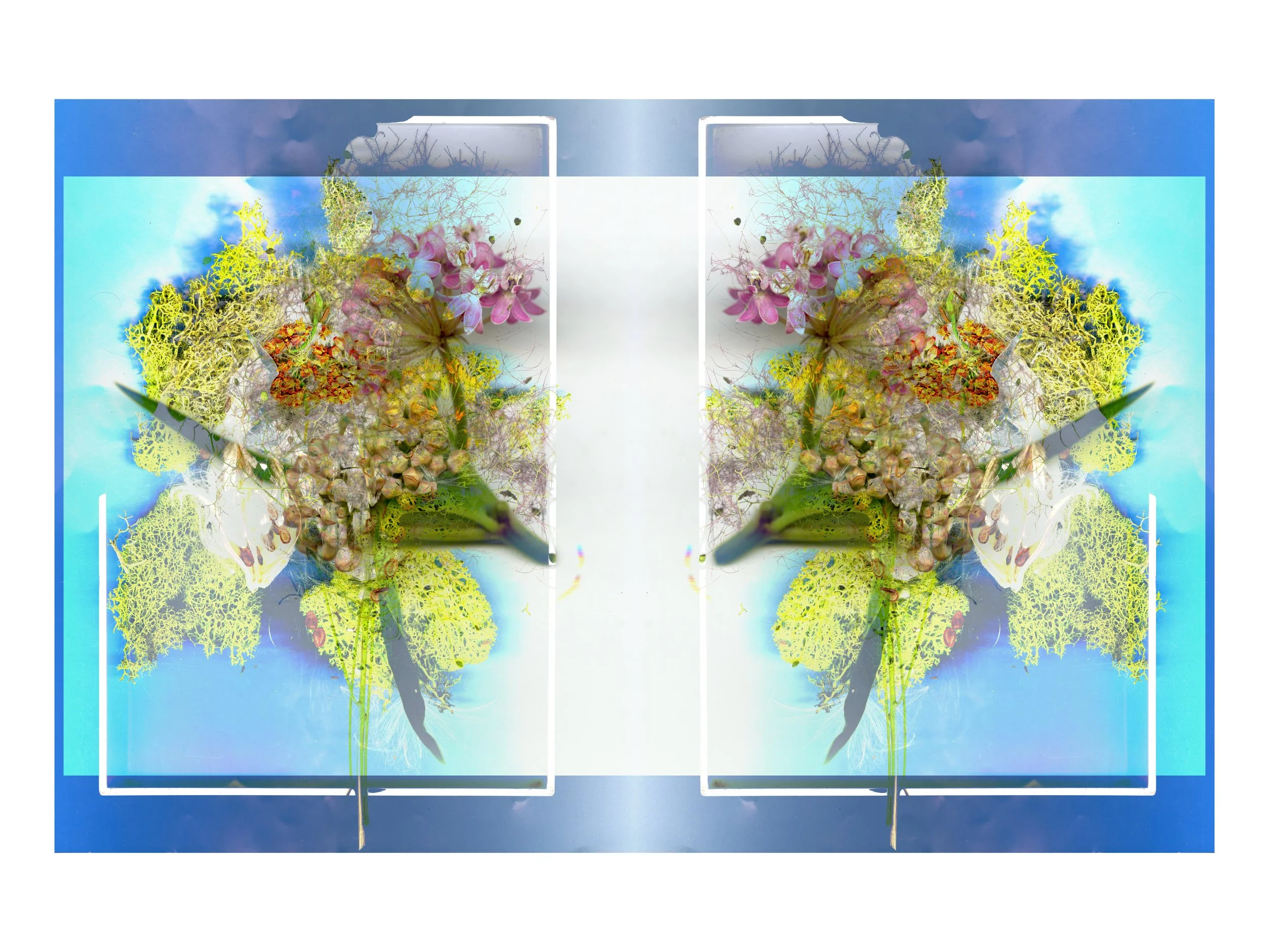 NicePrettyFlowerarrangeMilkweed_design_2_.jpg