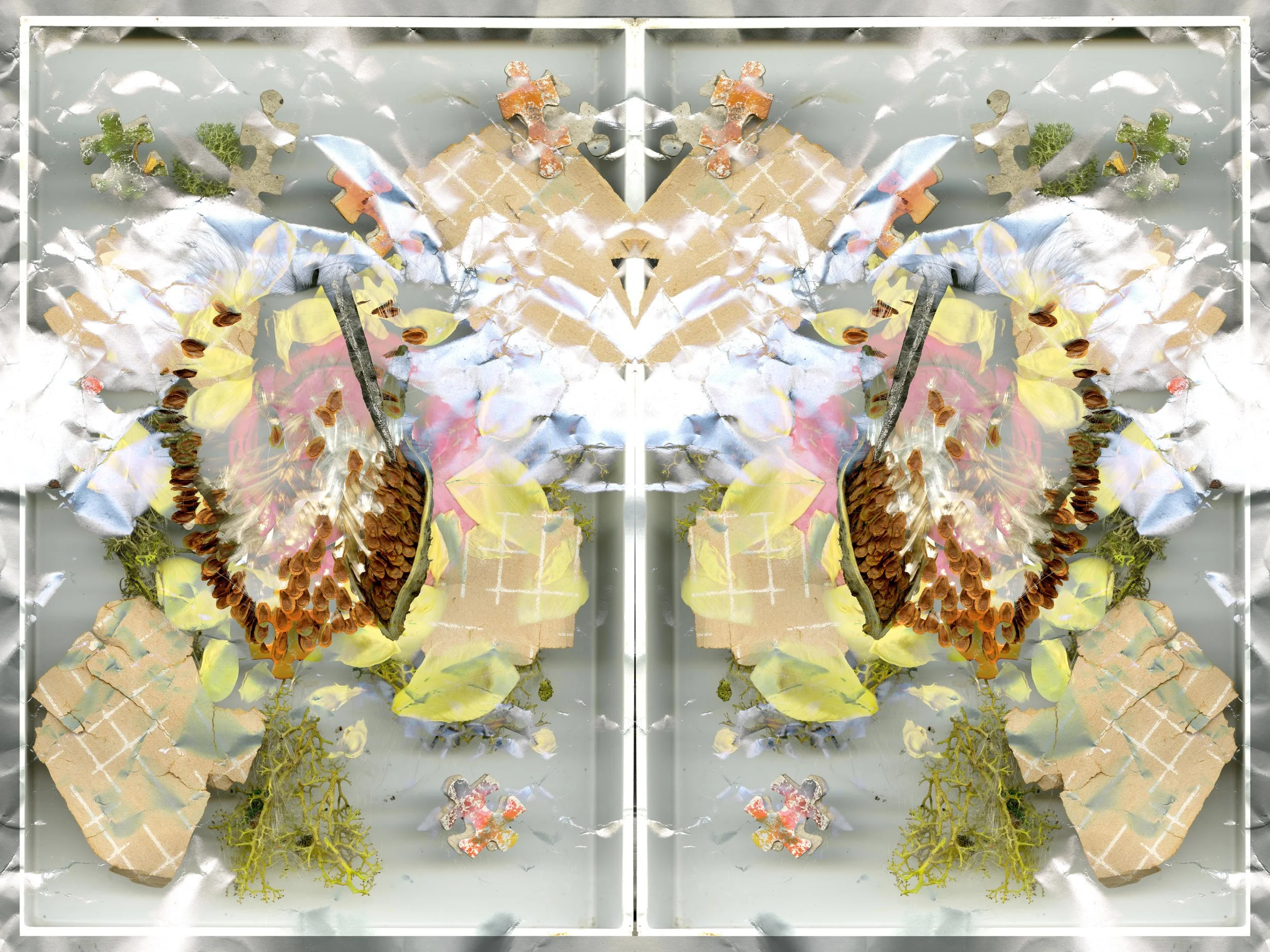 RedRoseBloomtah_6_289_Mirrored_1_.jpg