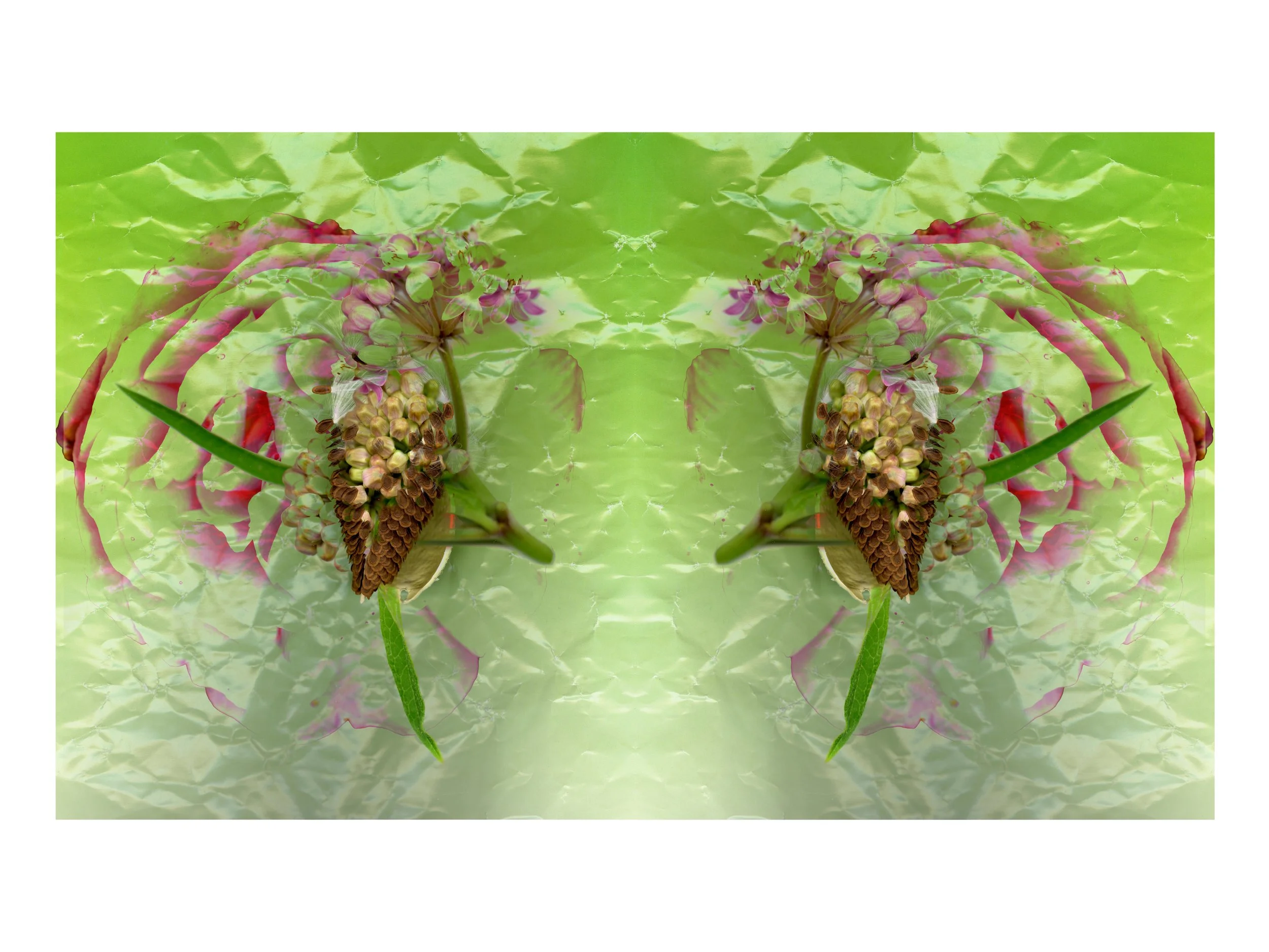 NicePrettyFlowerarrangeMilkweed_design_4_.jpg