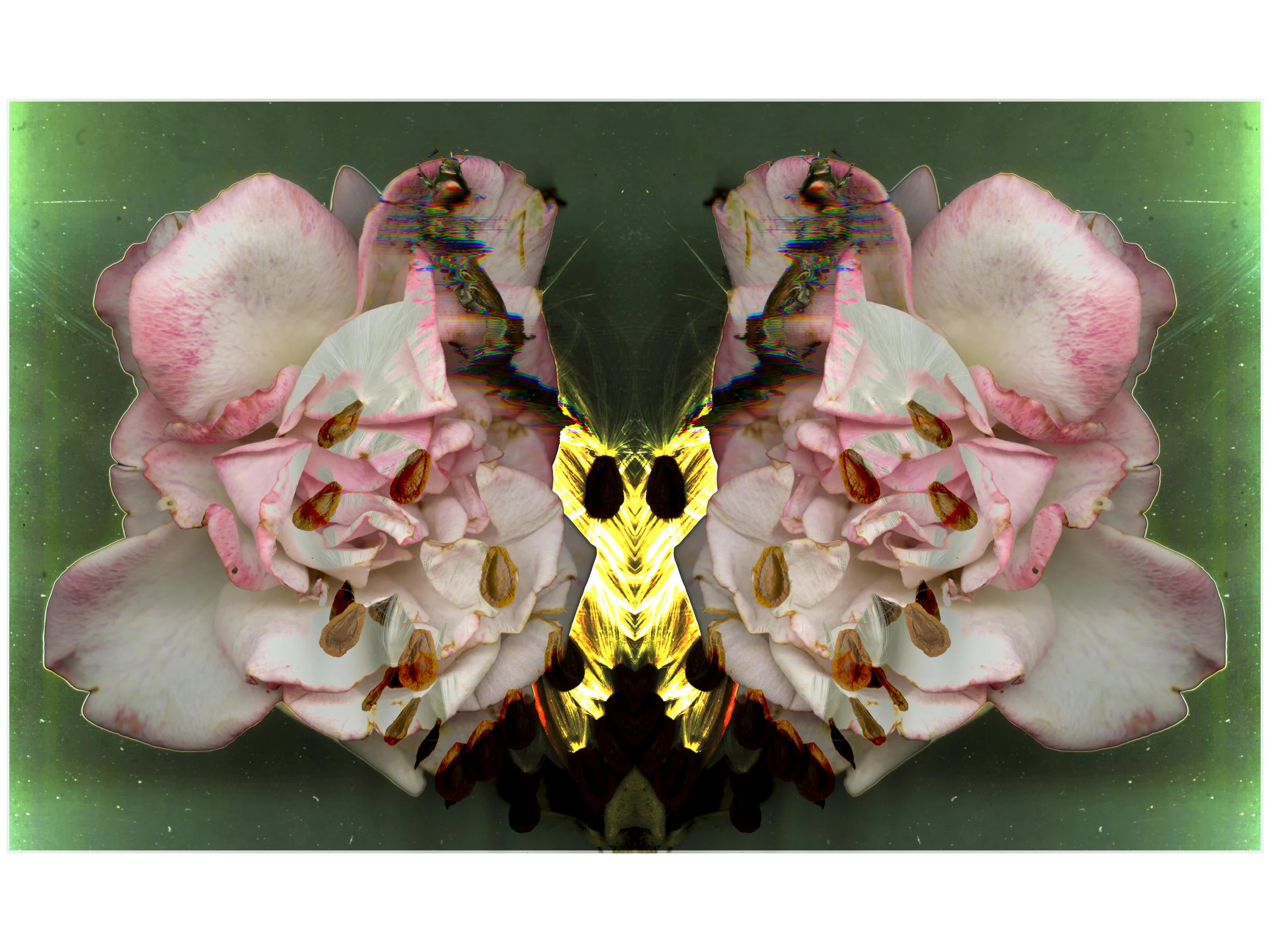 BloomBugy_1_044_Mirrored_2_YeahYeah_.jpg