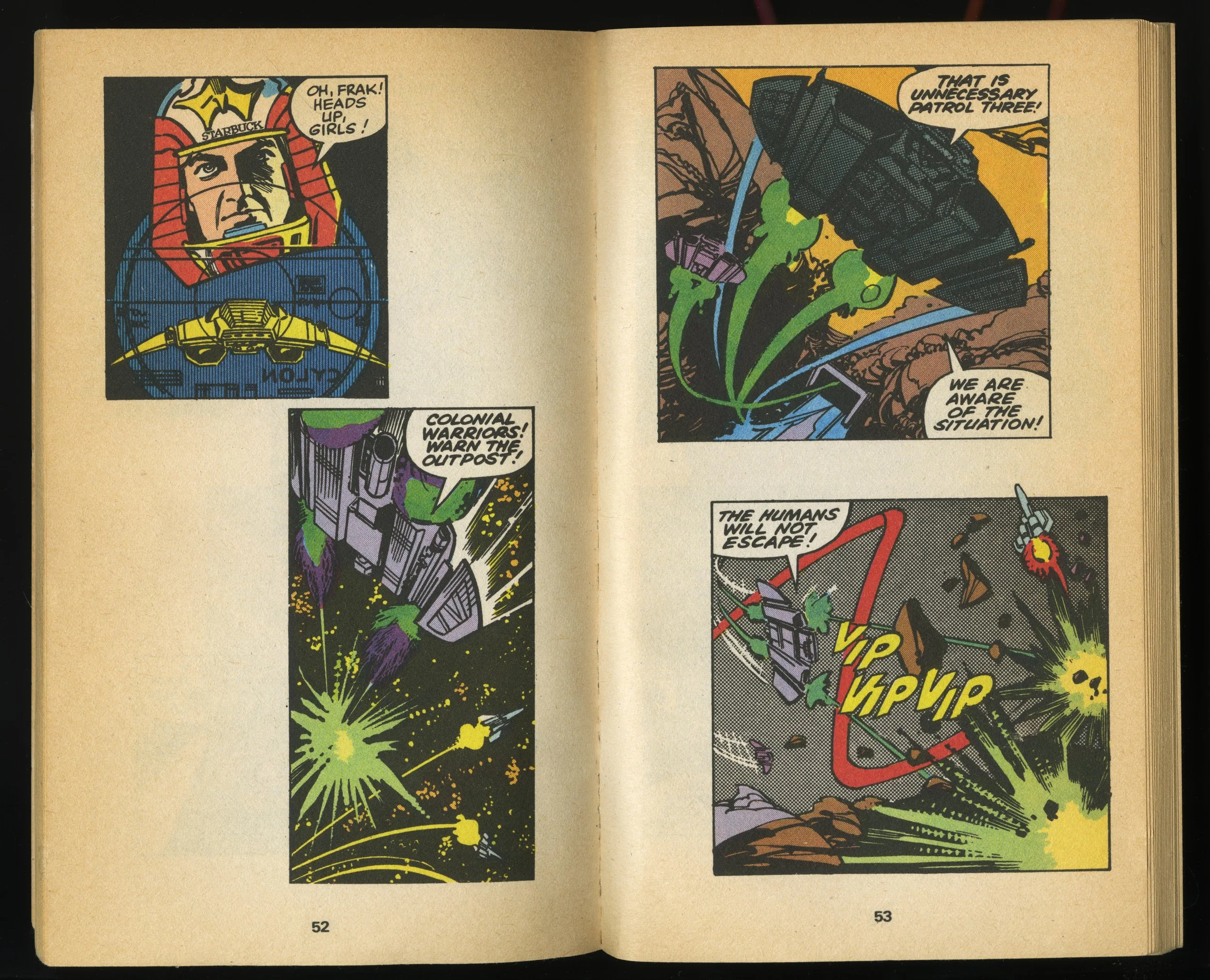 Leaf ANd Berry_1_384.jpg