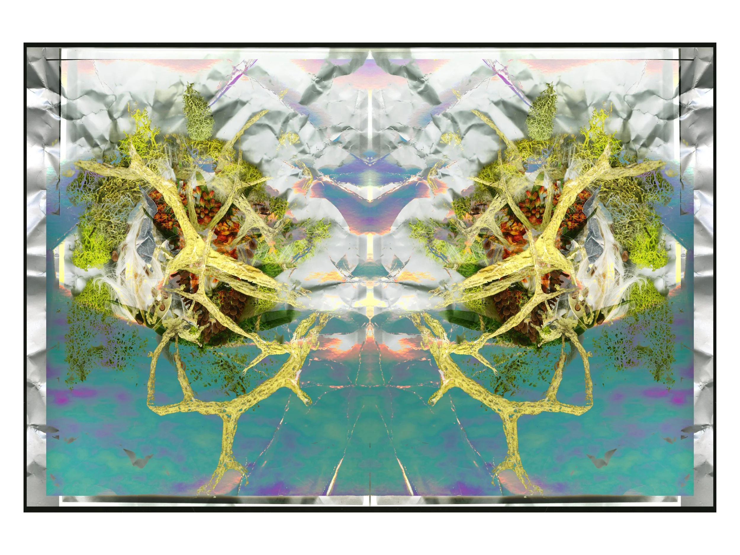 MilkWeed_1_674_Mirrored_Mixed_1_.jpg
