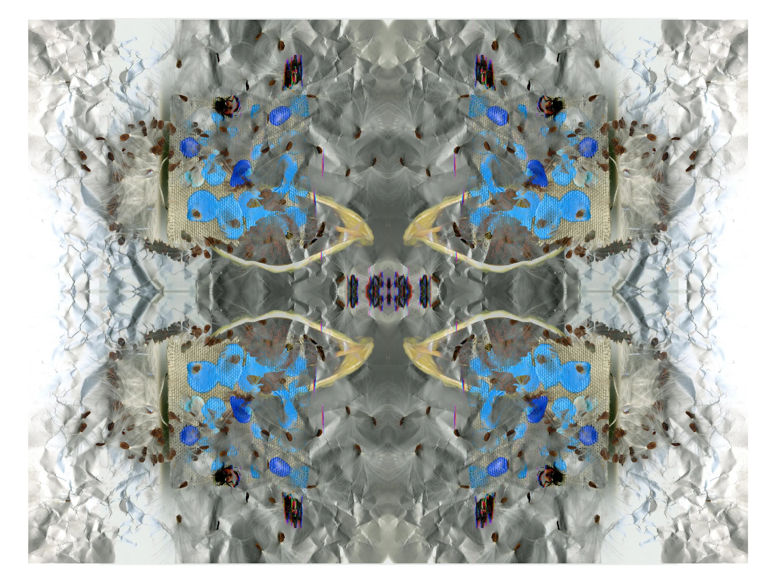 Milkweeded_design_040426_2_.jpg
