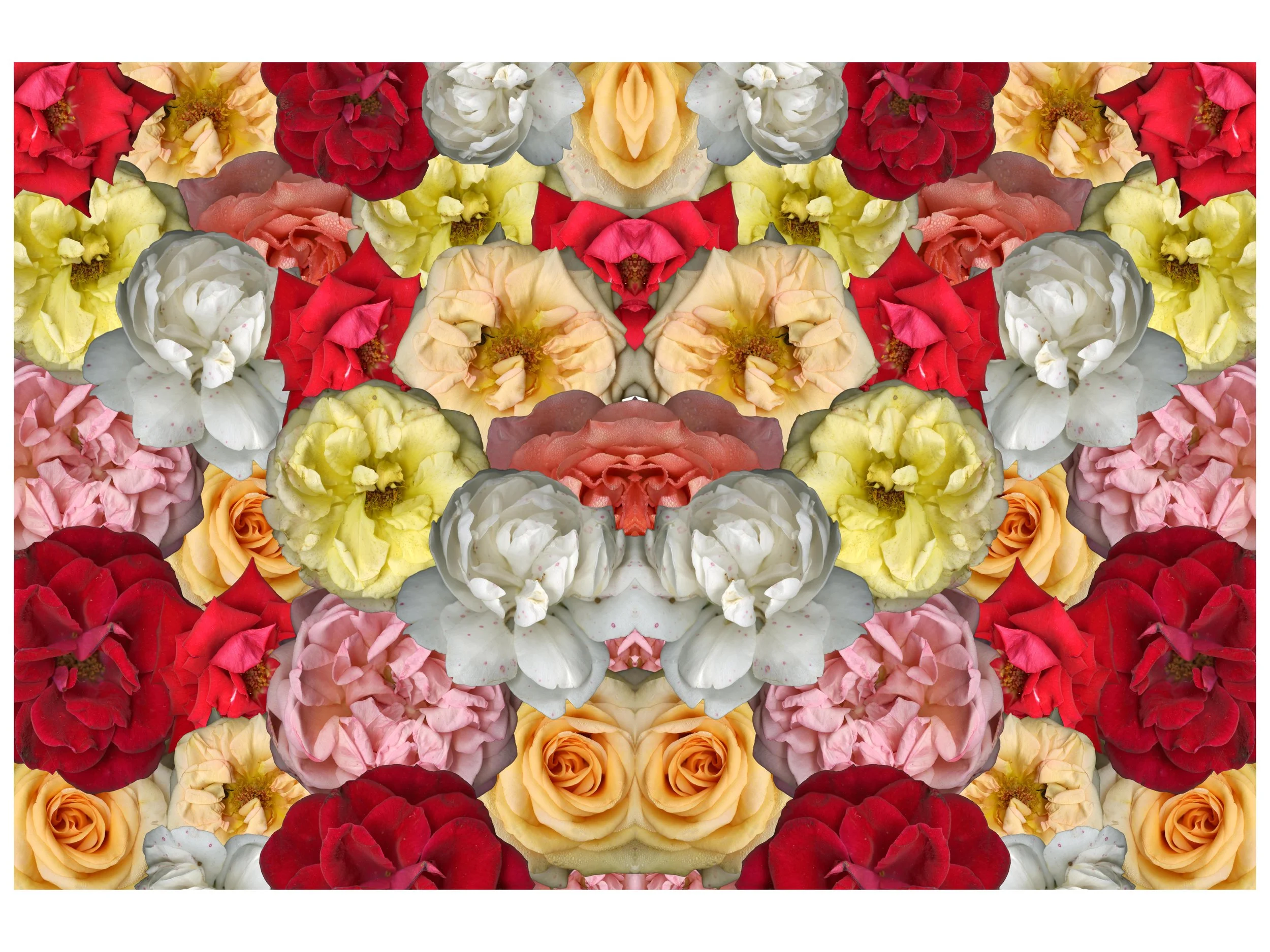 FloralBloomMix_3__mirrored_1_.jpg