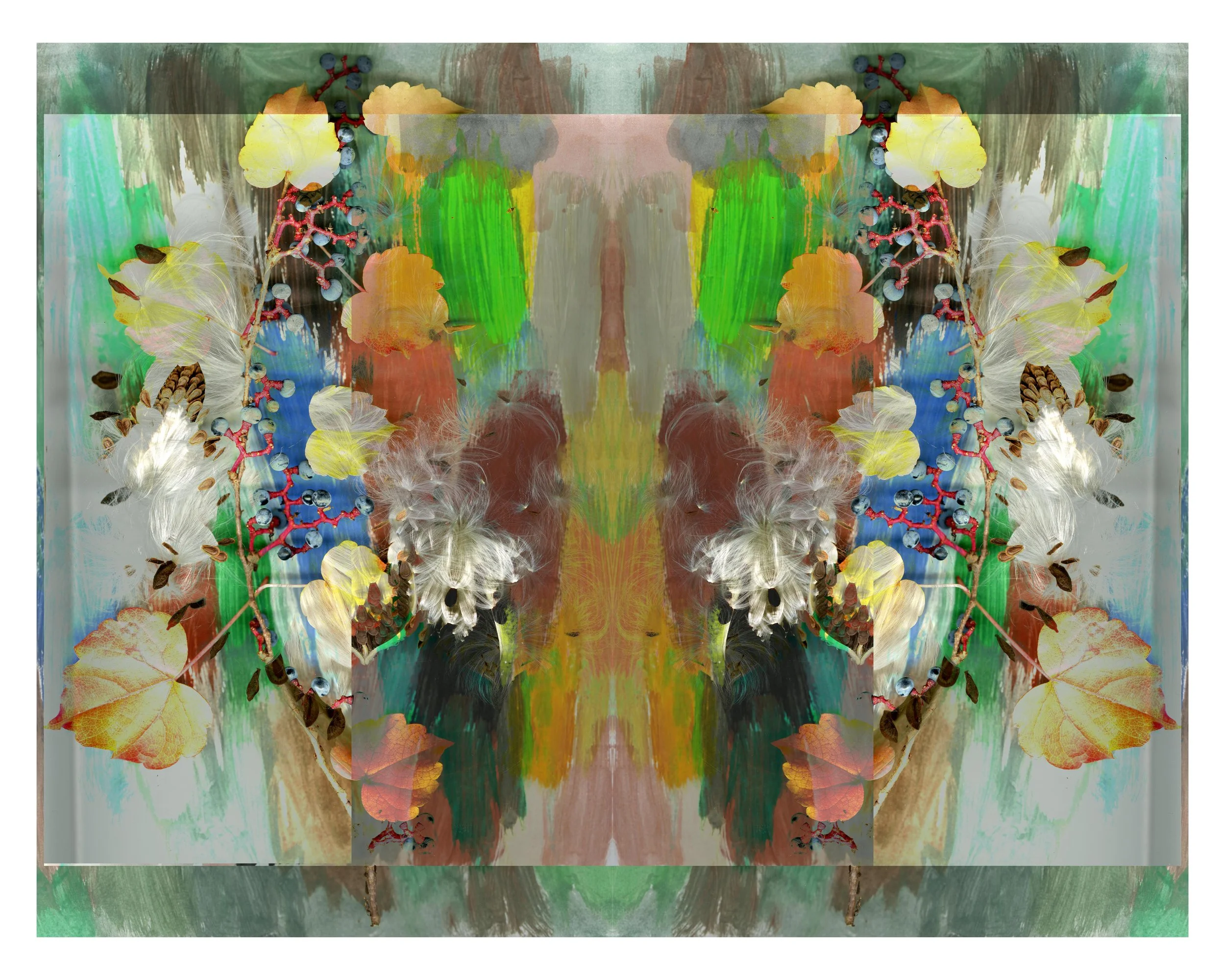 MilkWeed_Bless_1_862_Mirrored_Mixed_1_.jpg