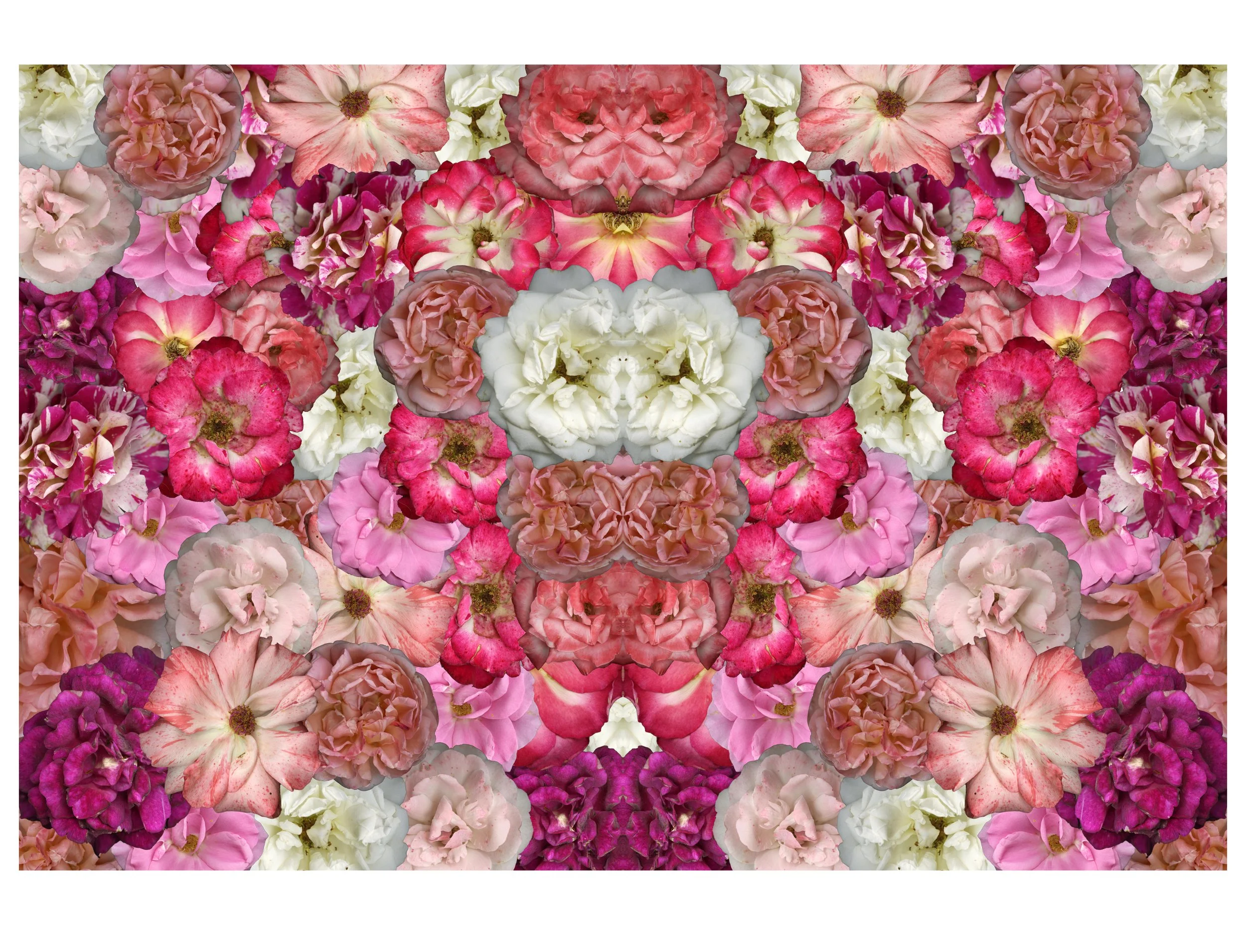 FloralMix_PinkCool_FullMirrored_1_.jpg