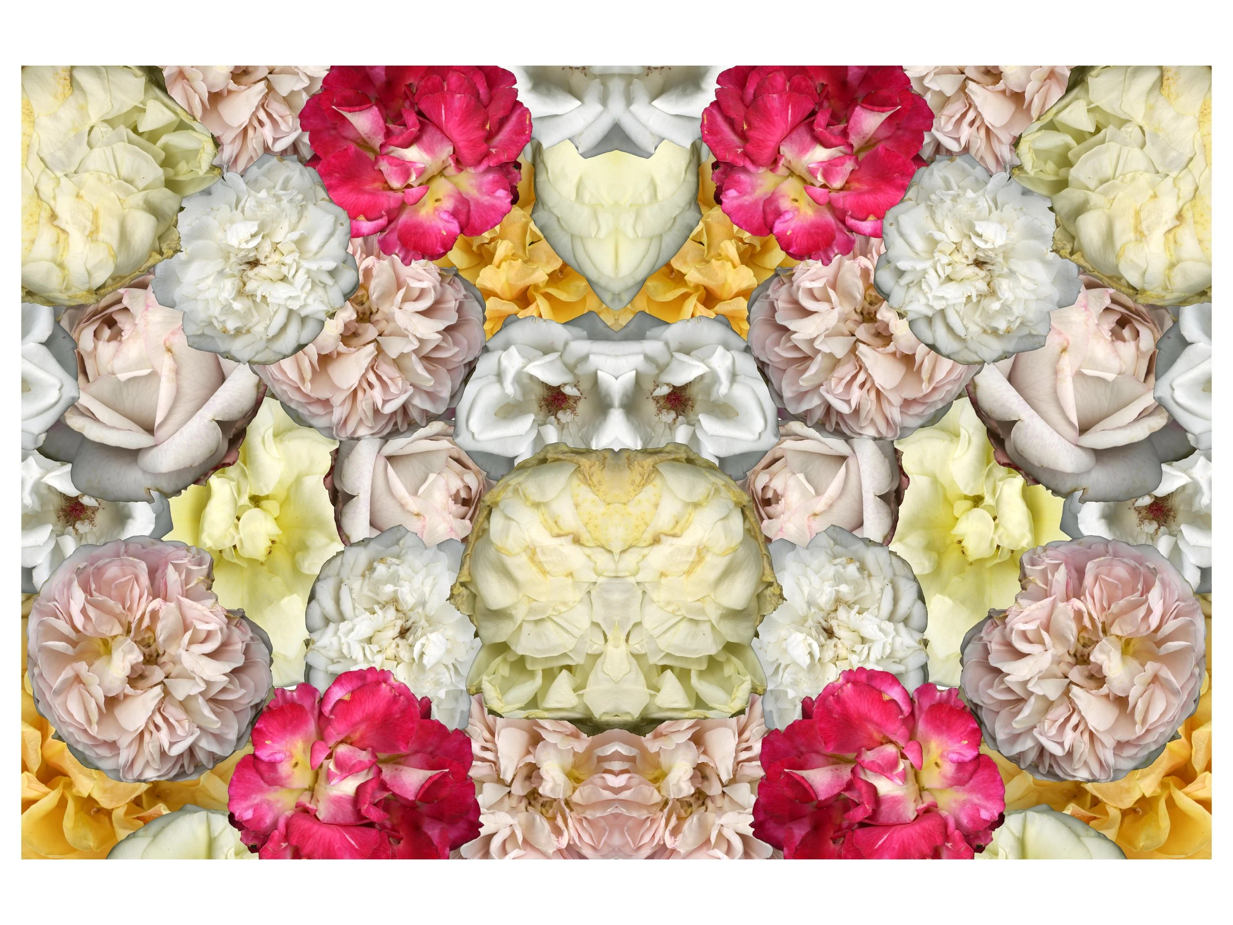 BloomtahMixCollage_6__Mirrored_v2_.jpg
