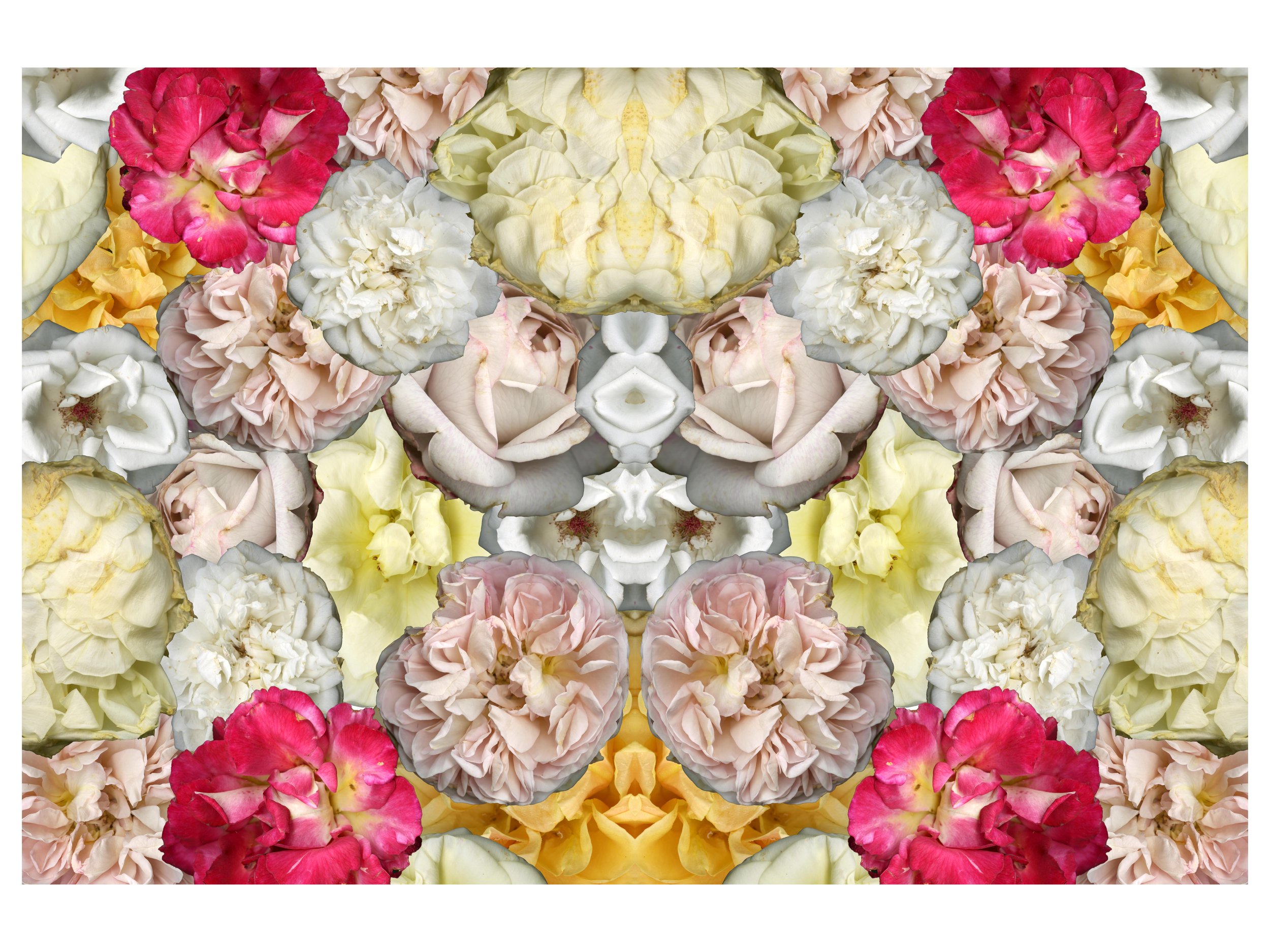 BloomtahMixCollage_6__Mirrored_.jpg