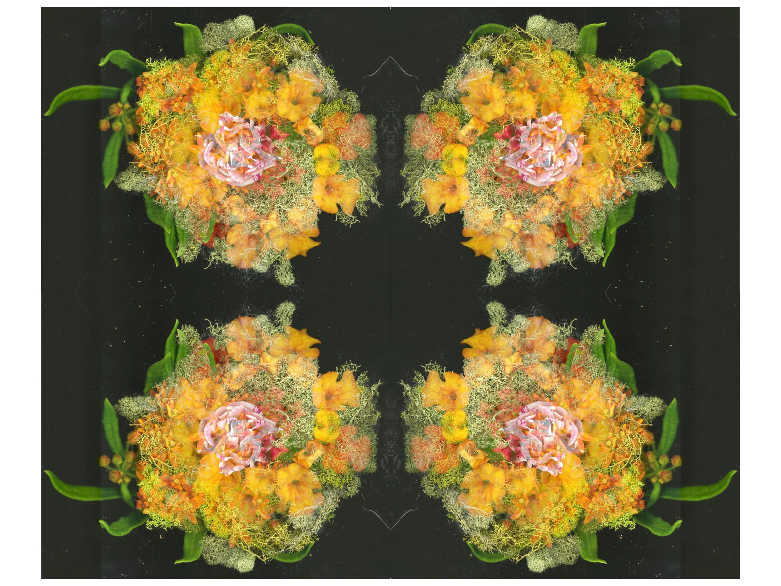FlowersMixedAndCool_Yeah_040426_2_.jpg