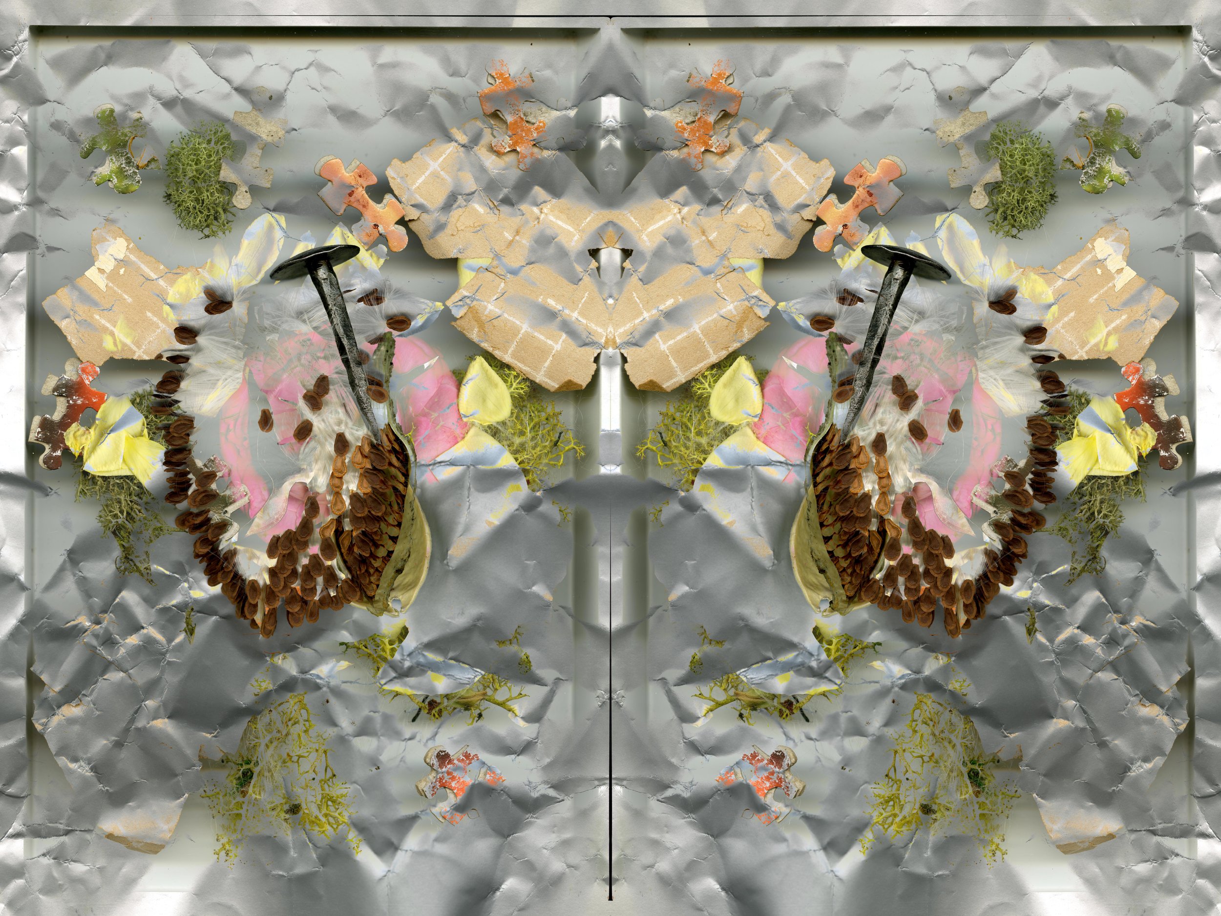 RedRoseBloomtah_5_289_Mirrored_1_.jpg