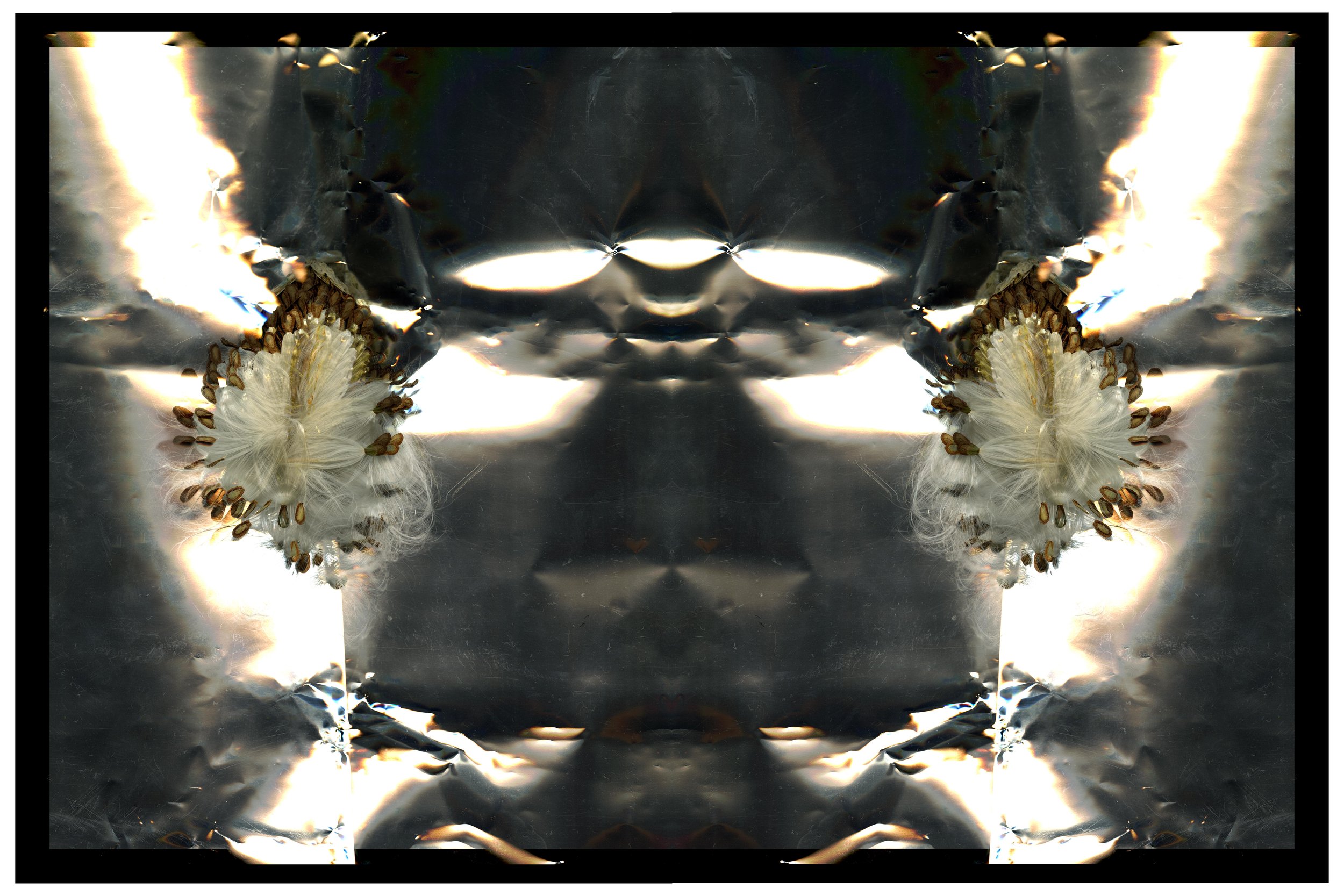 ShineFeild_1_ copy.jpg