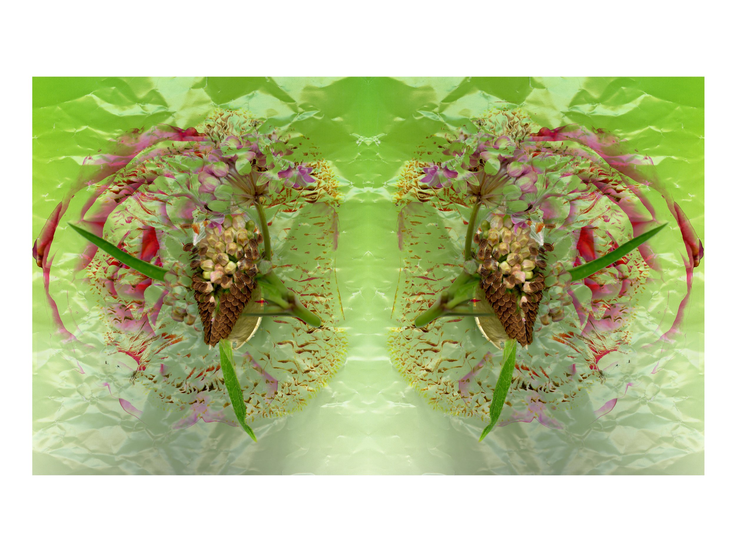 NicePrettyFlowerarrangeMilkweed_design_5_.jpg
