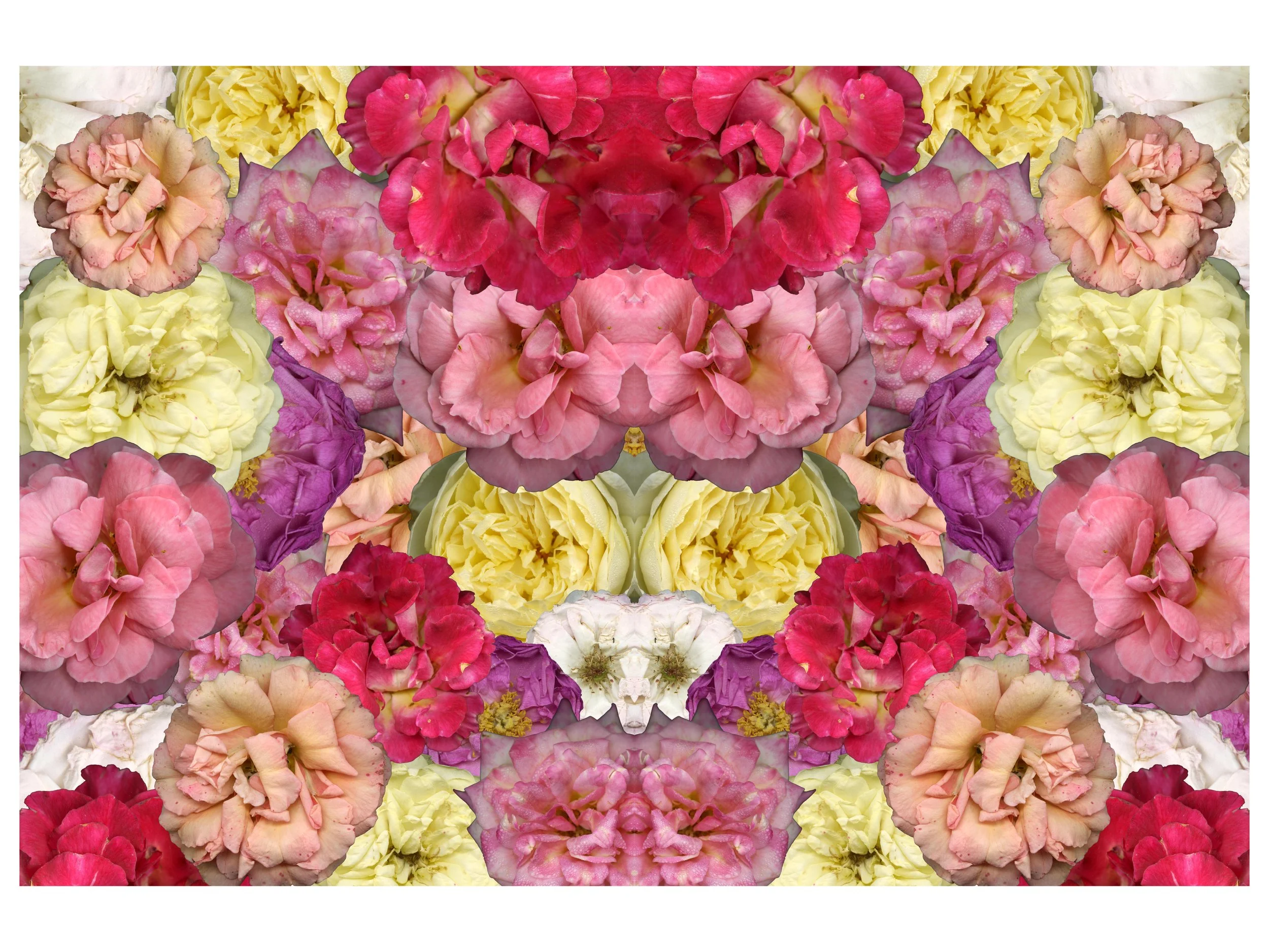 FloralRoseMix_4_Mirrored_.jpg