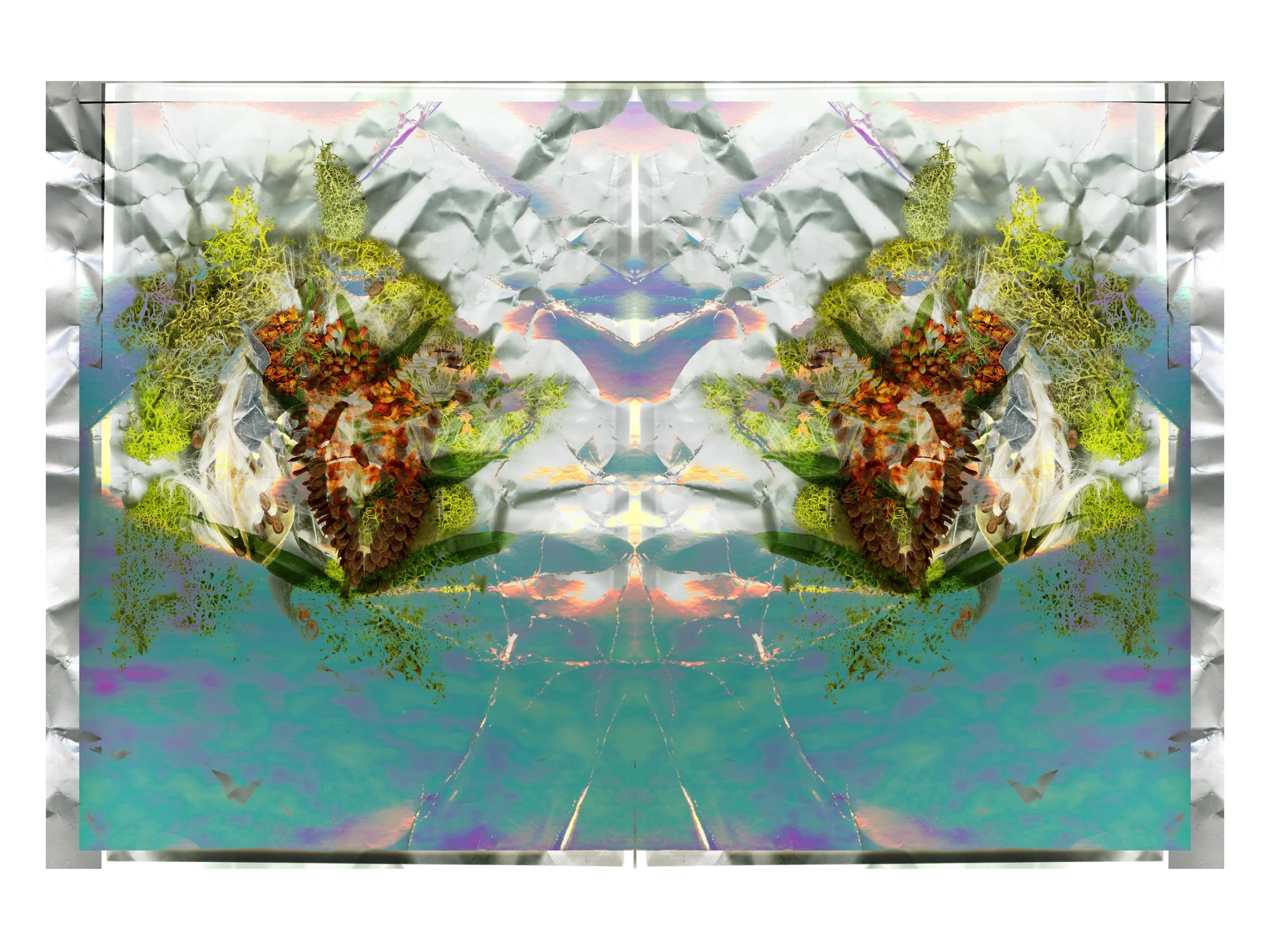 5MilkWeed_1_674_Mirrored_Mixed_1_.jpg