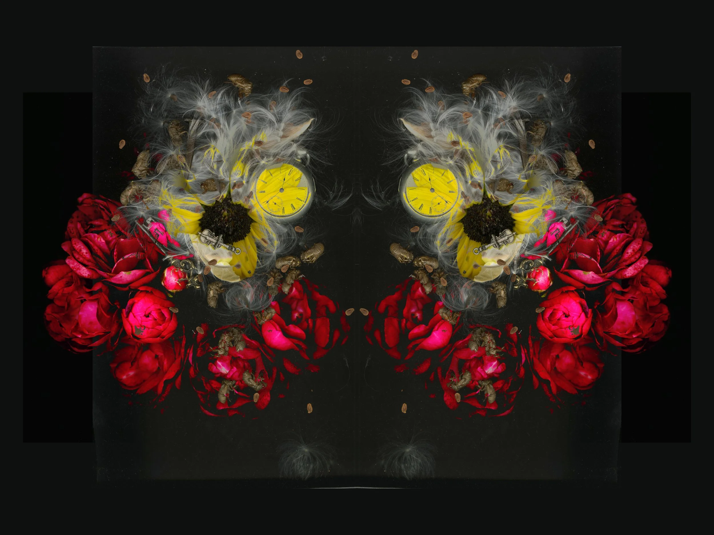Redreosesbunch_2_718_Mirrored_Cool1_1_.jpg