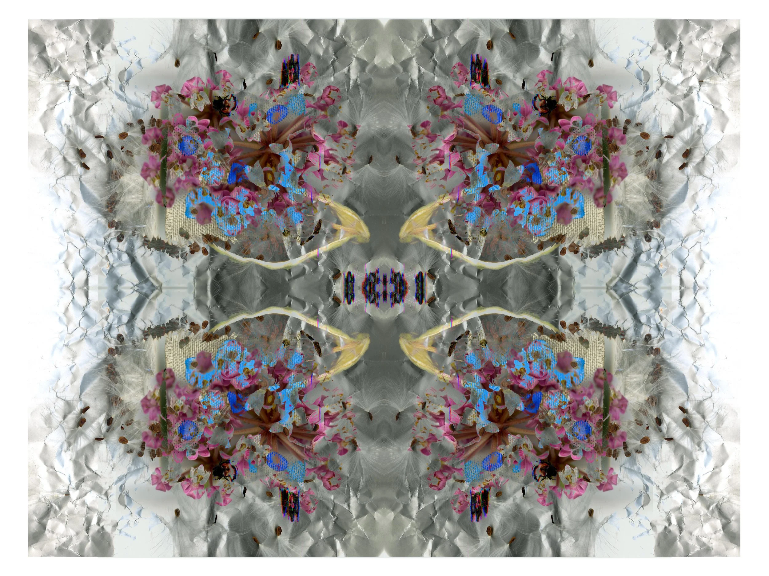 Milkweeded_design_040426_1_.jpg