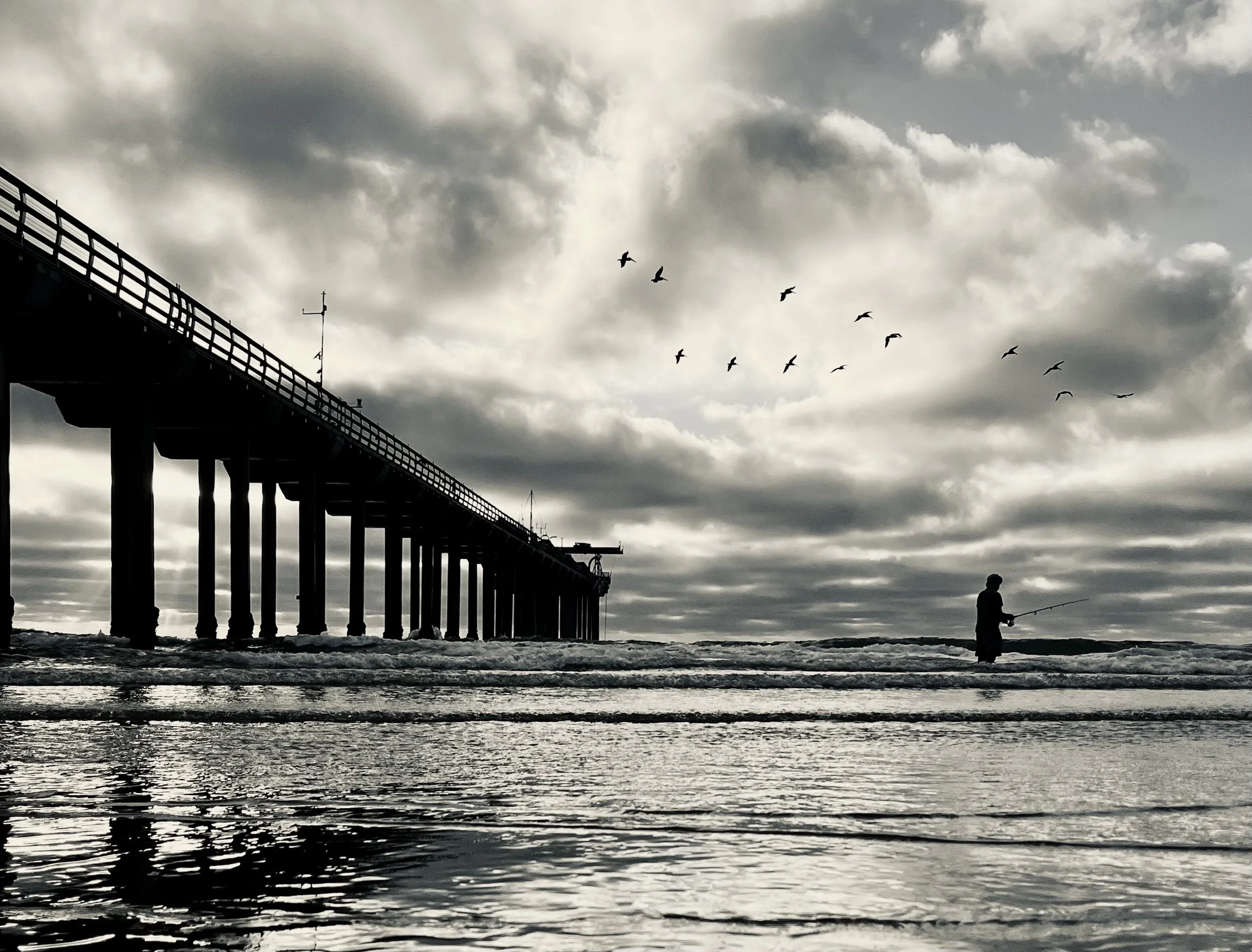 IMG_7763.jpeg
