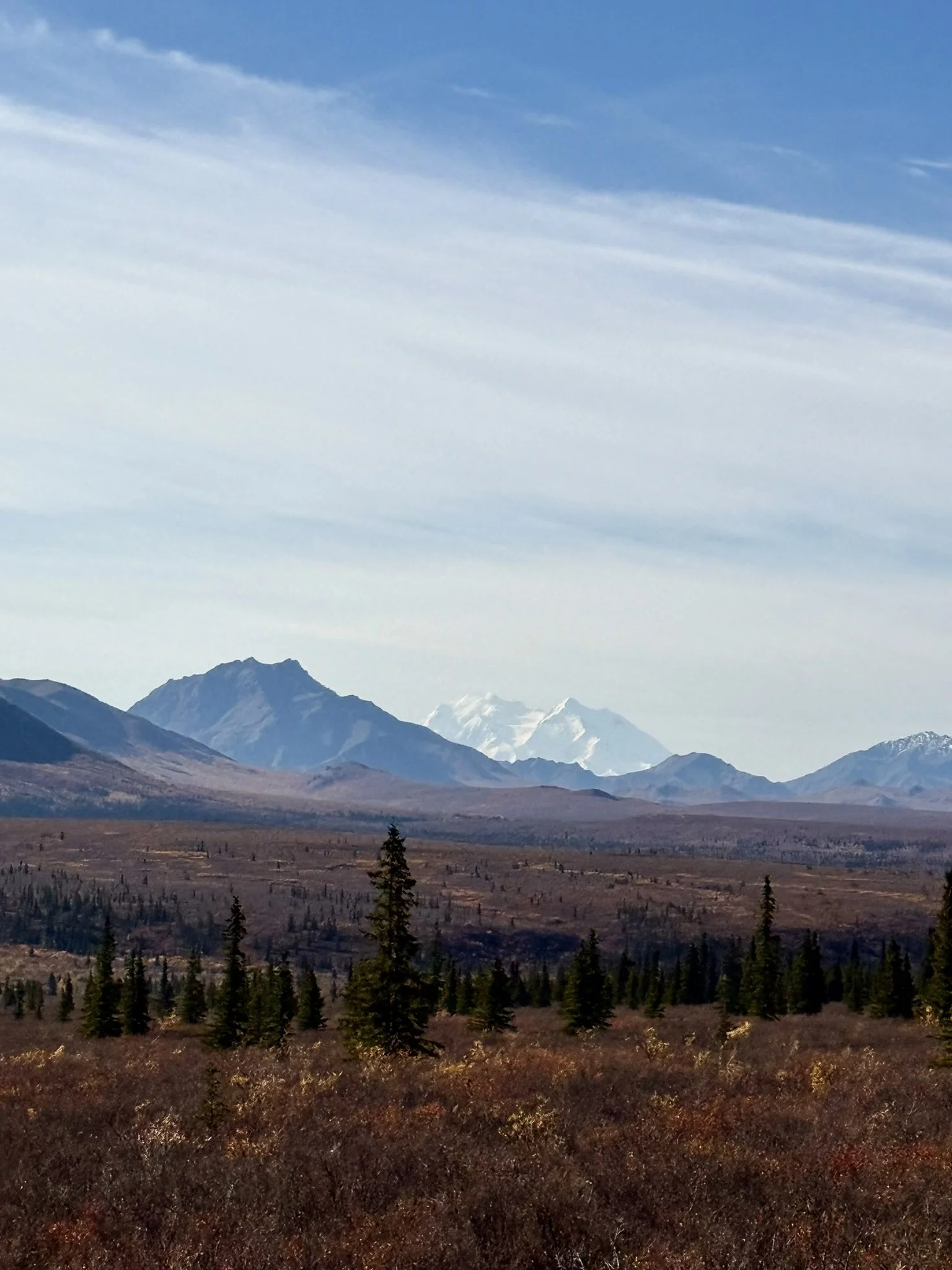 21594CE4-AE9A-40EF-B4C9-6B8D6FF19B0A_1_102_a.jpeg