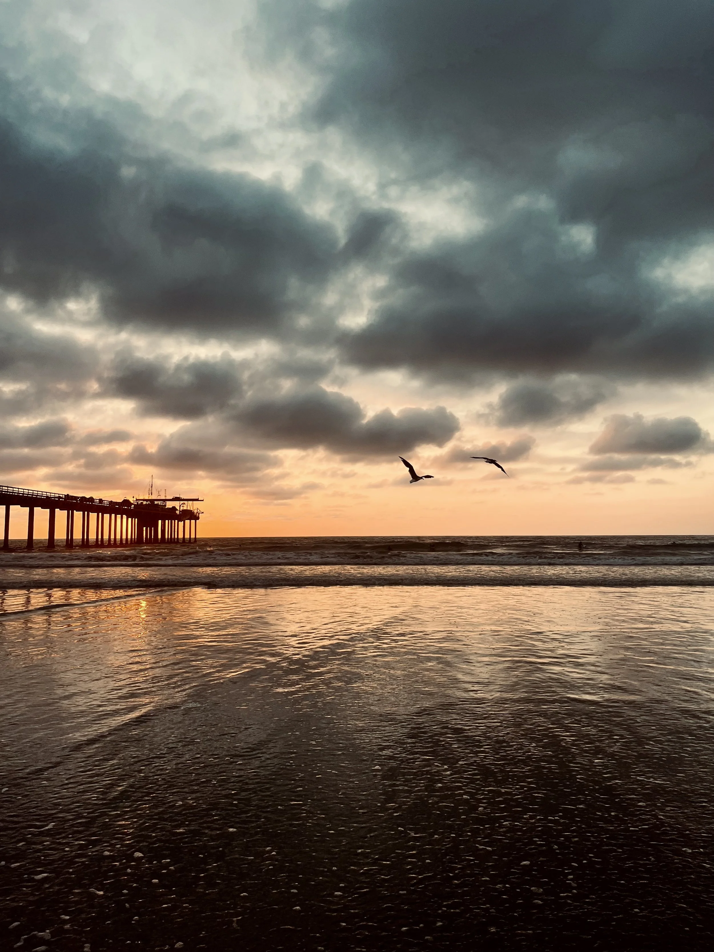 Sunset at the ocean with dark clouds overhead, two seagulls flying, and a pier extending into the water.