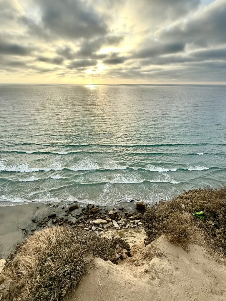 1485D2C6-C359-4732-9E1A-B8AD08E85F0F_1_105_c.jpeg