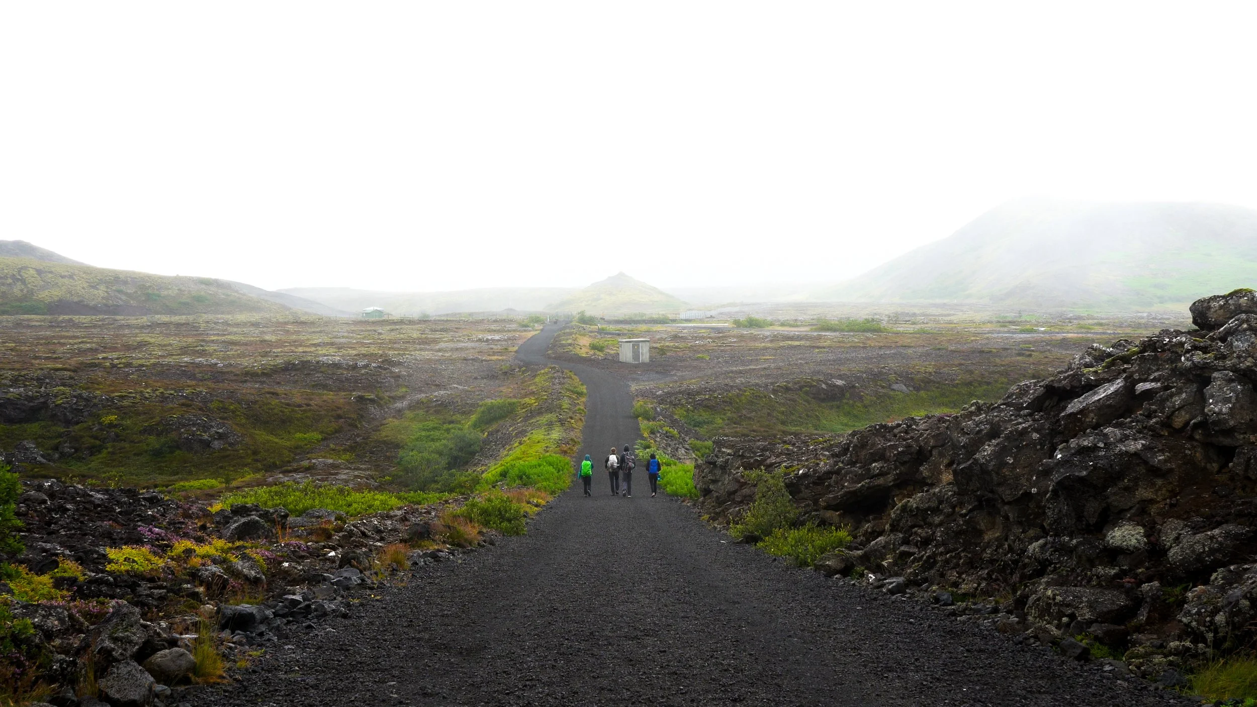 basic (1 of 1)-10.jpg