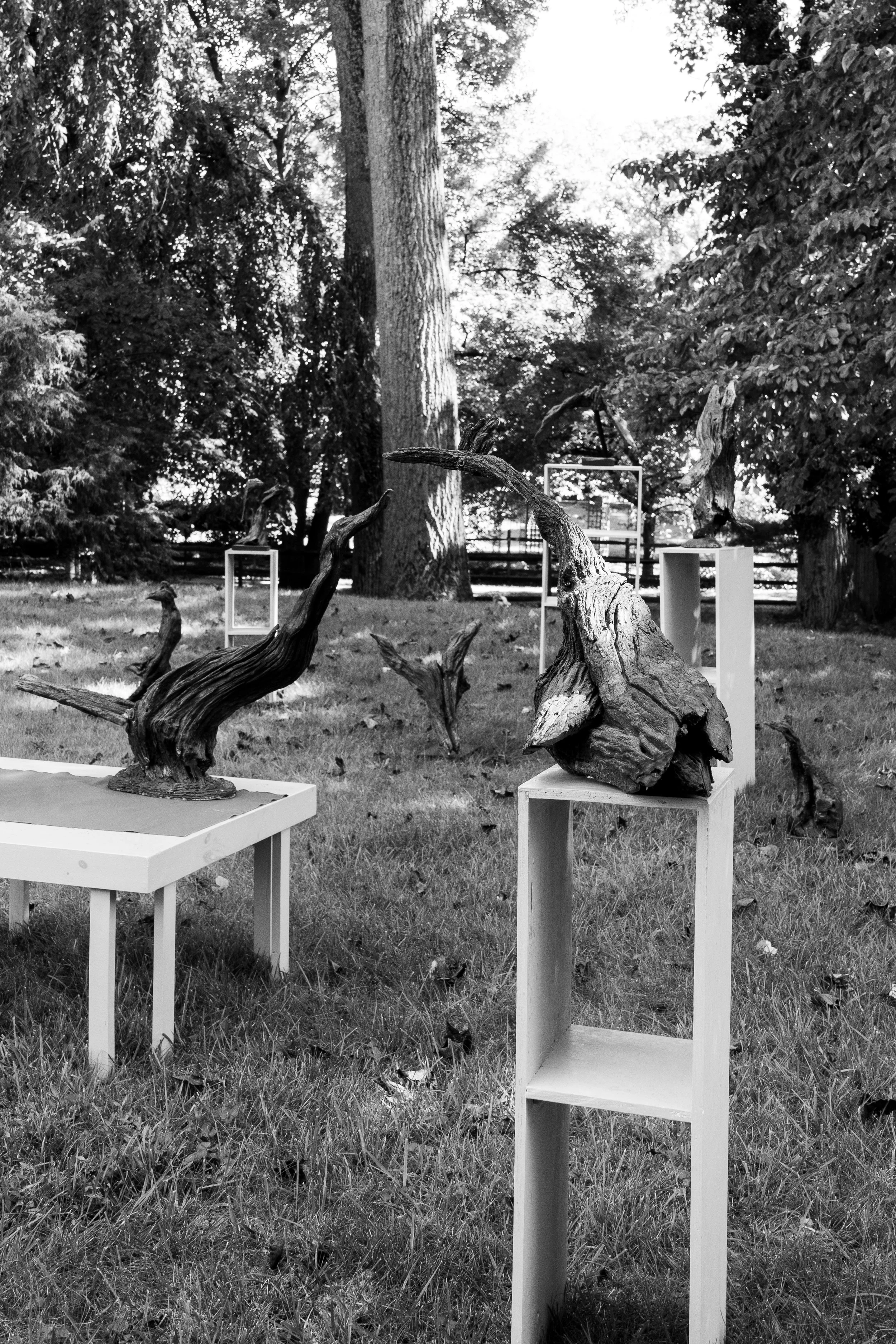 pierre resize-22.jpg