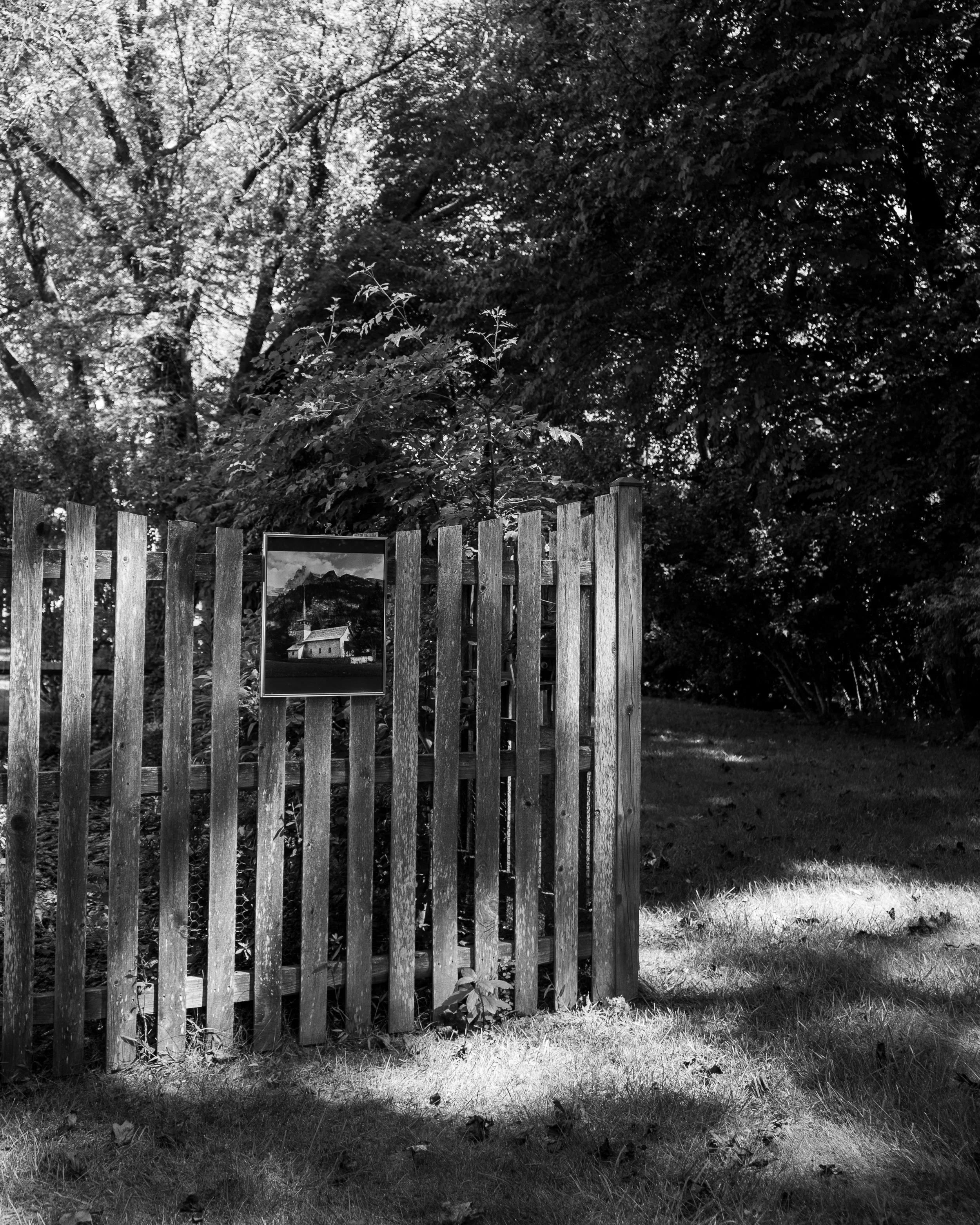 pierre resize-20.jpg