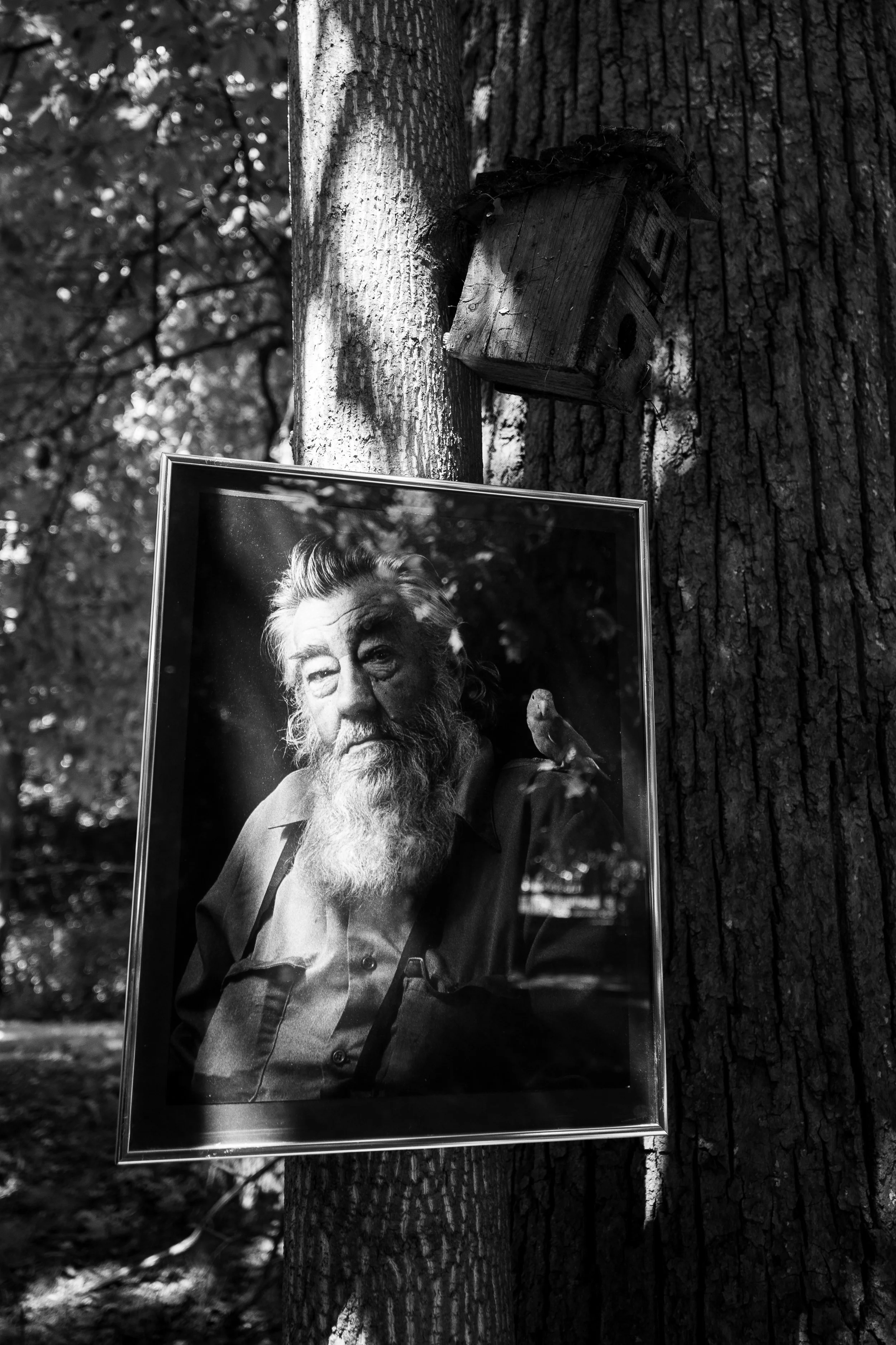 pierre resize-13.jpg