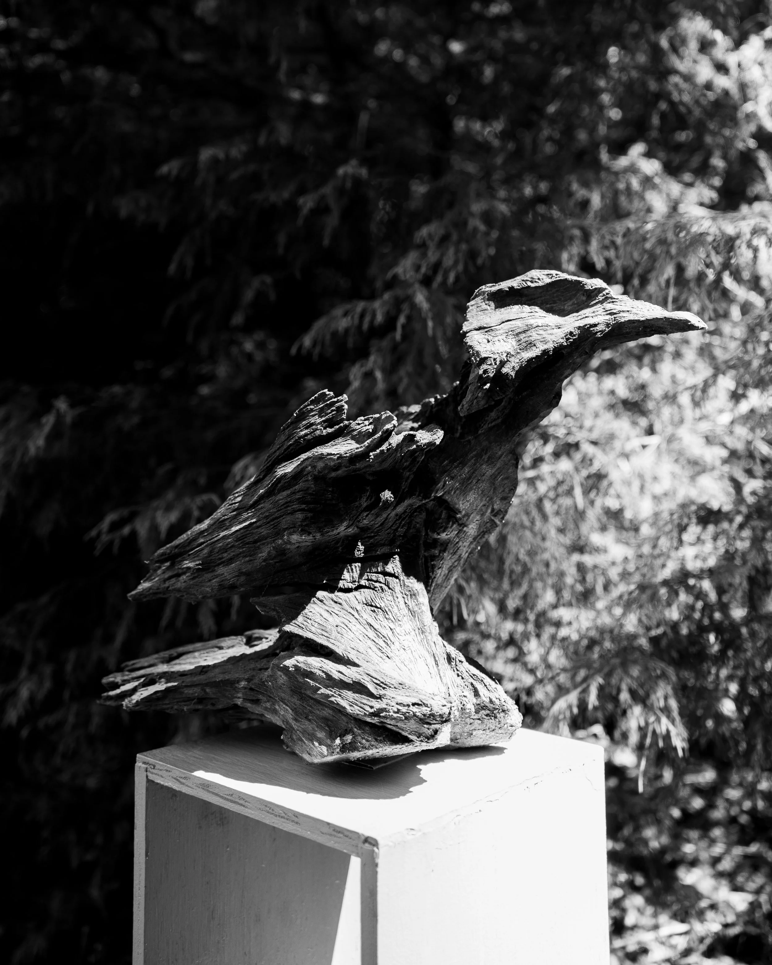 pierre resize-12.jpg