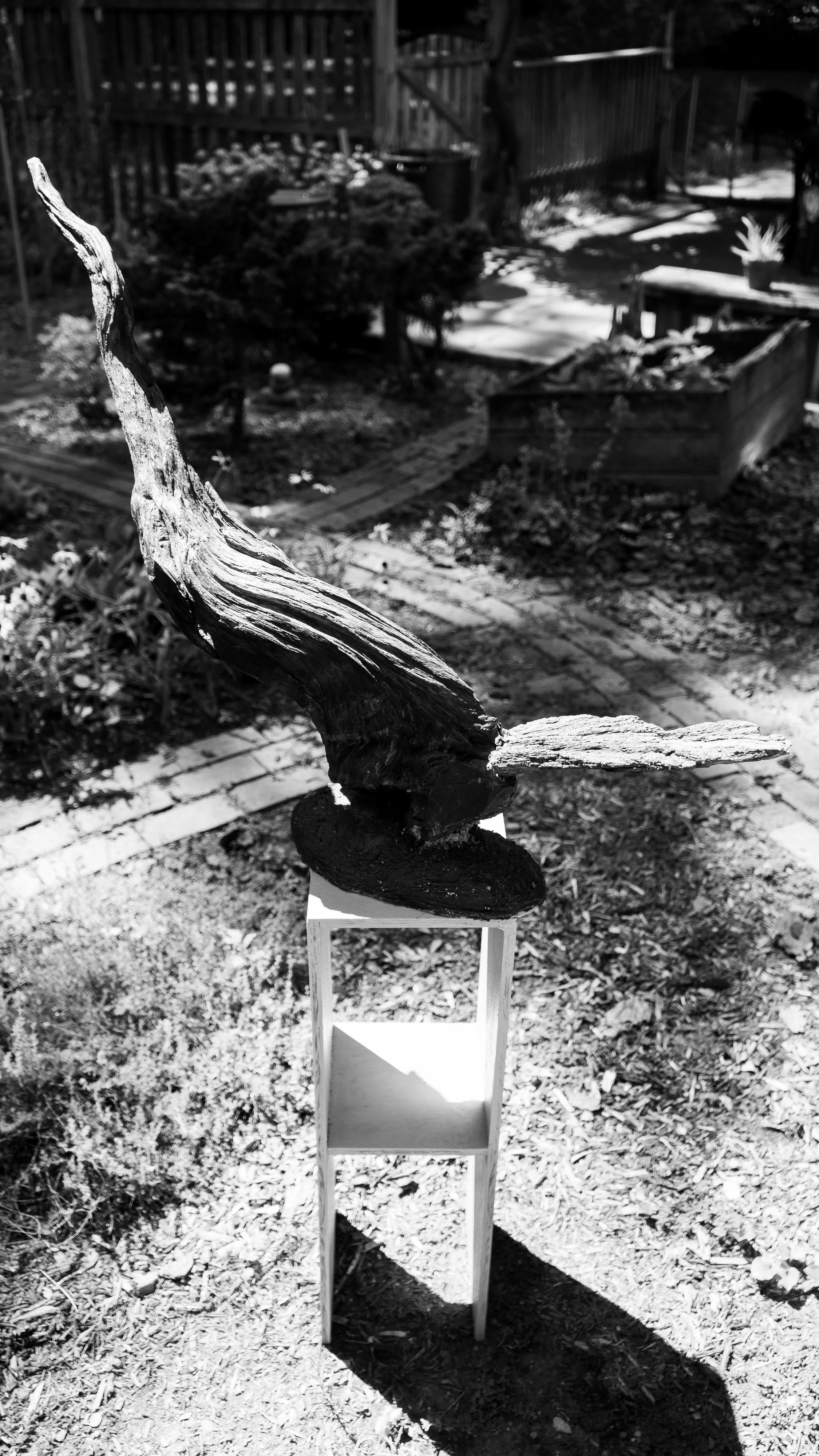 pierre resize-10.jpg