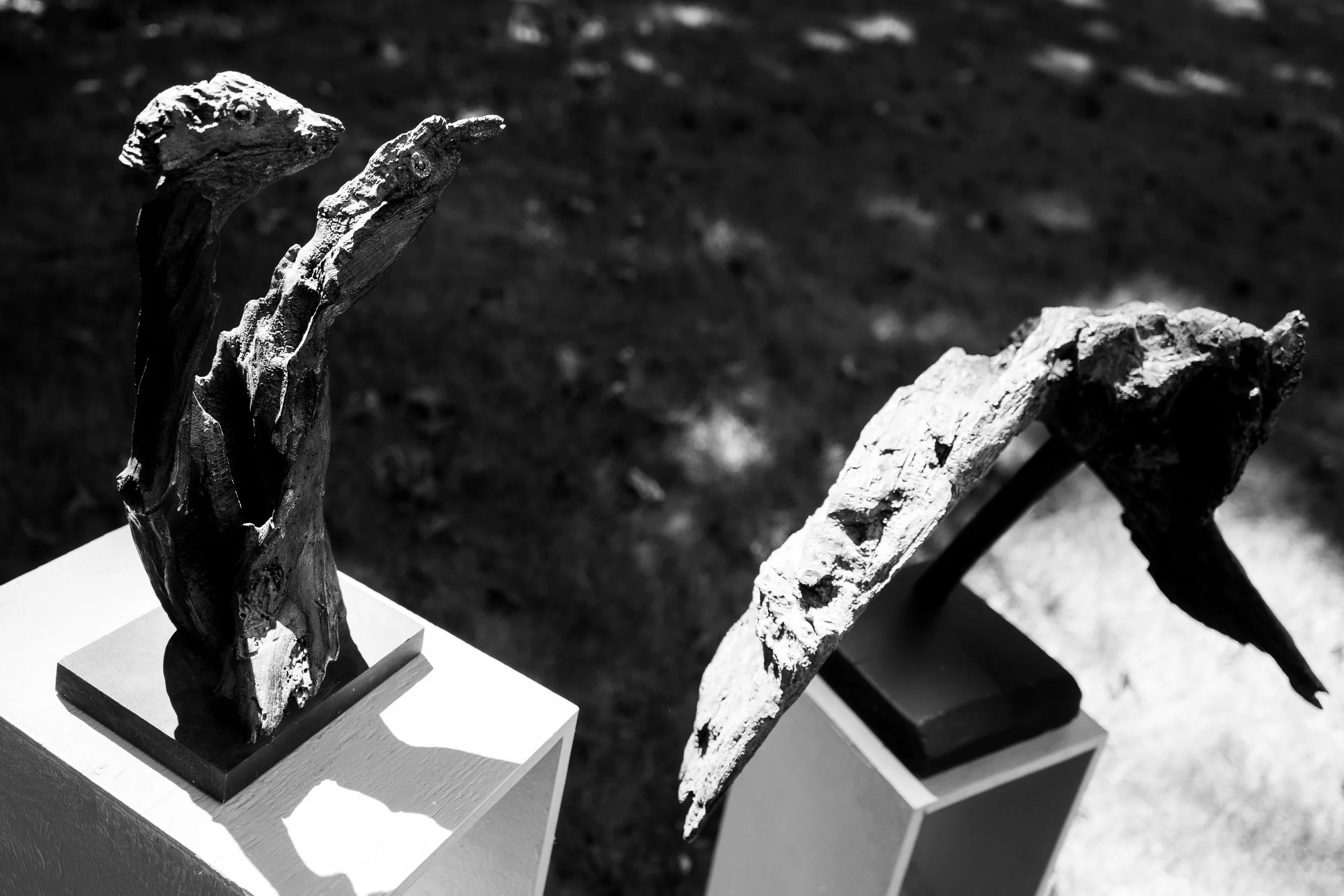 pierre resize-15.jpg