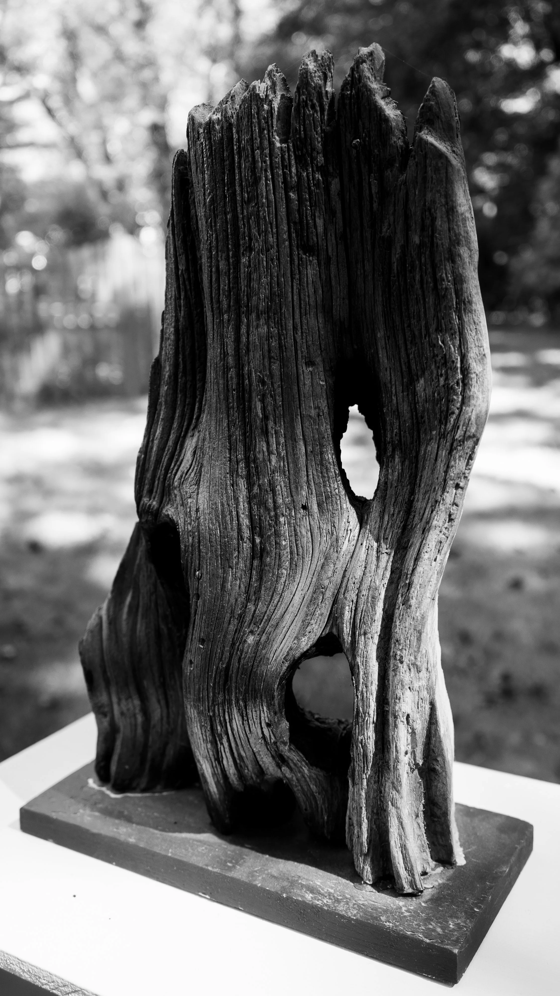pierre resize-18.jpg