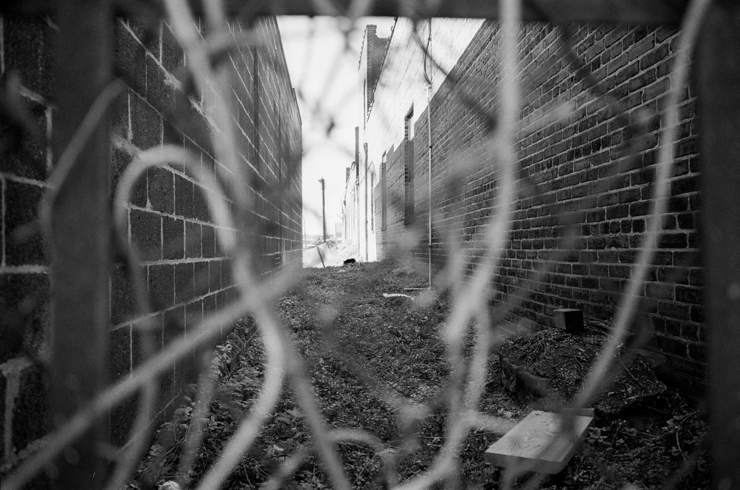 graff-1-4.jpg