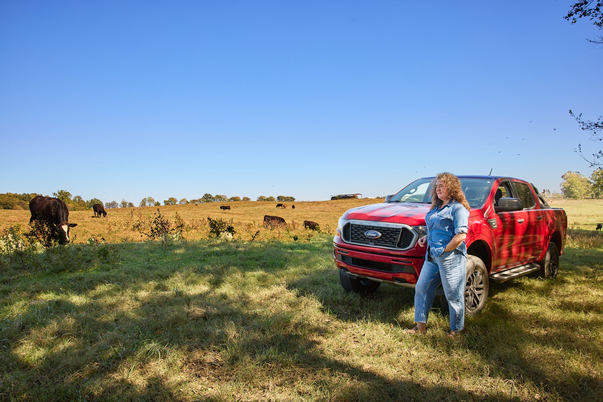 The Tennessee Greenbelt Act: How to Lower Your Property Taxes