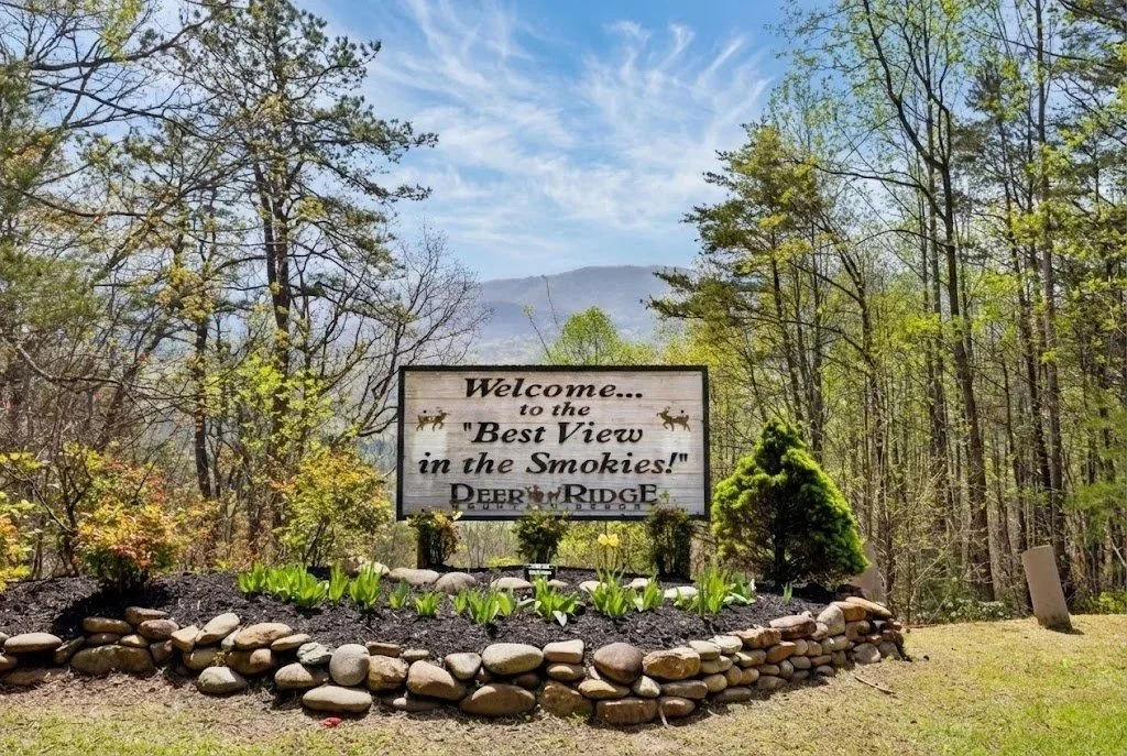 Auction Live to Sold in 45 Days