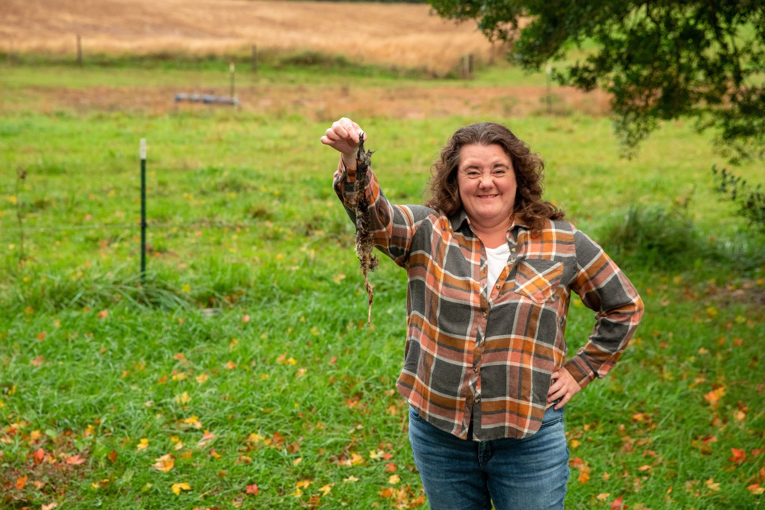 Why I Say "No": The Truth About Real Estate Auctions and Seller Expectations