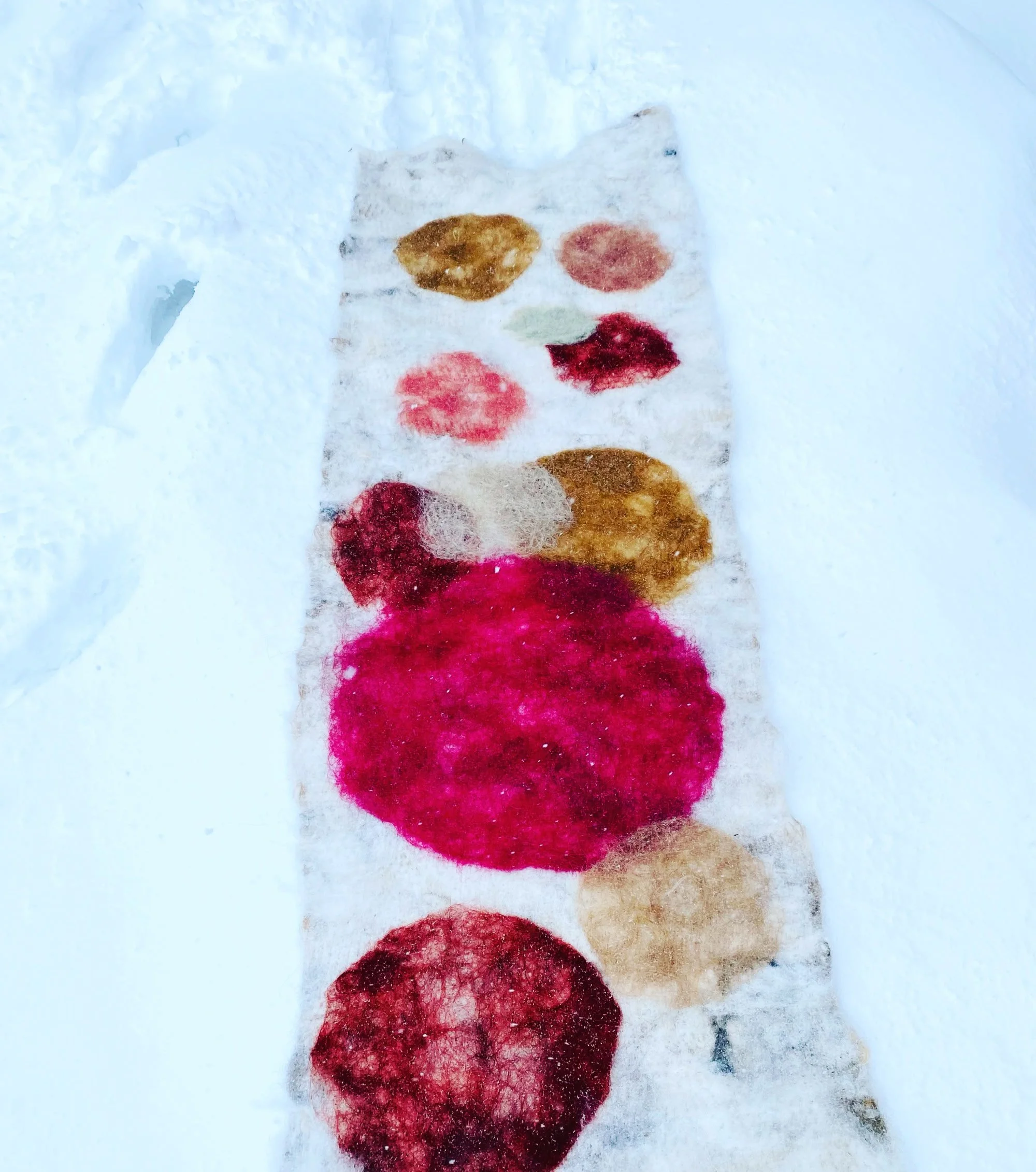 018CED5F-3BE1-47A7-9F41-0865F7069739 2 2@2x.jpg